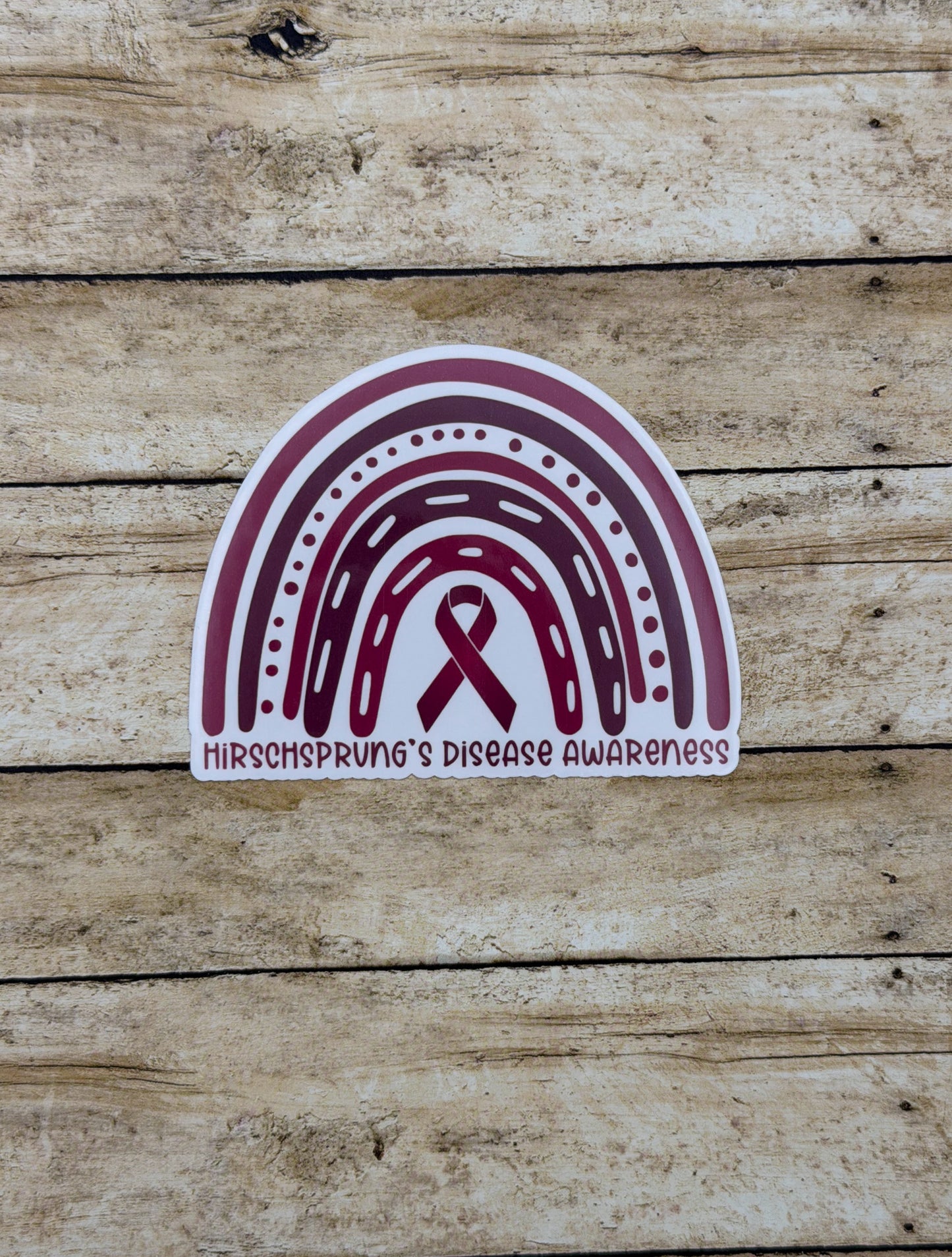 Hirschsprung's Disease Awareness Rainbow Sticker or Magnet