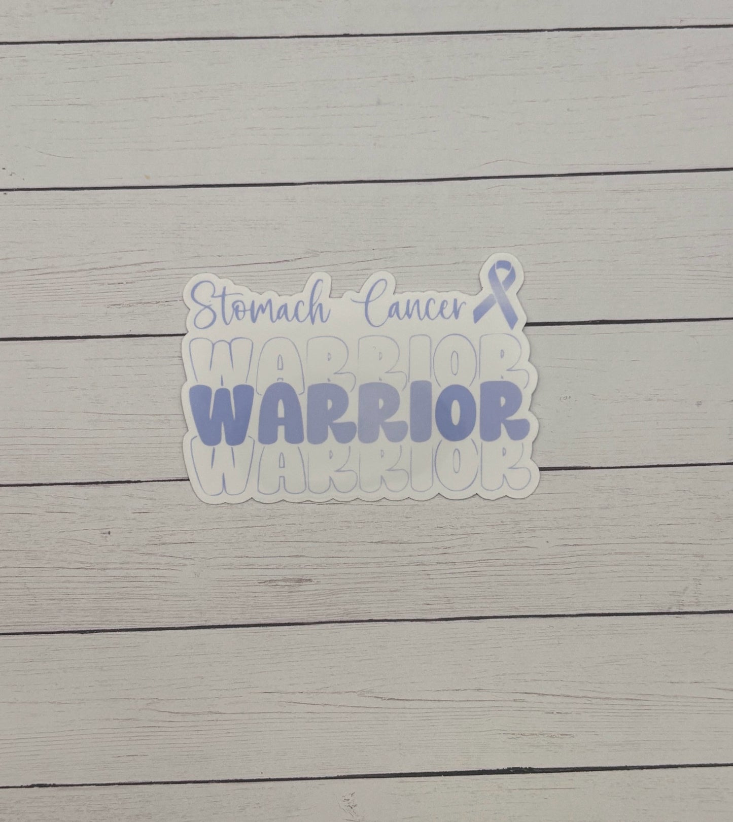 Stomach Cancer Warrior Sticker