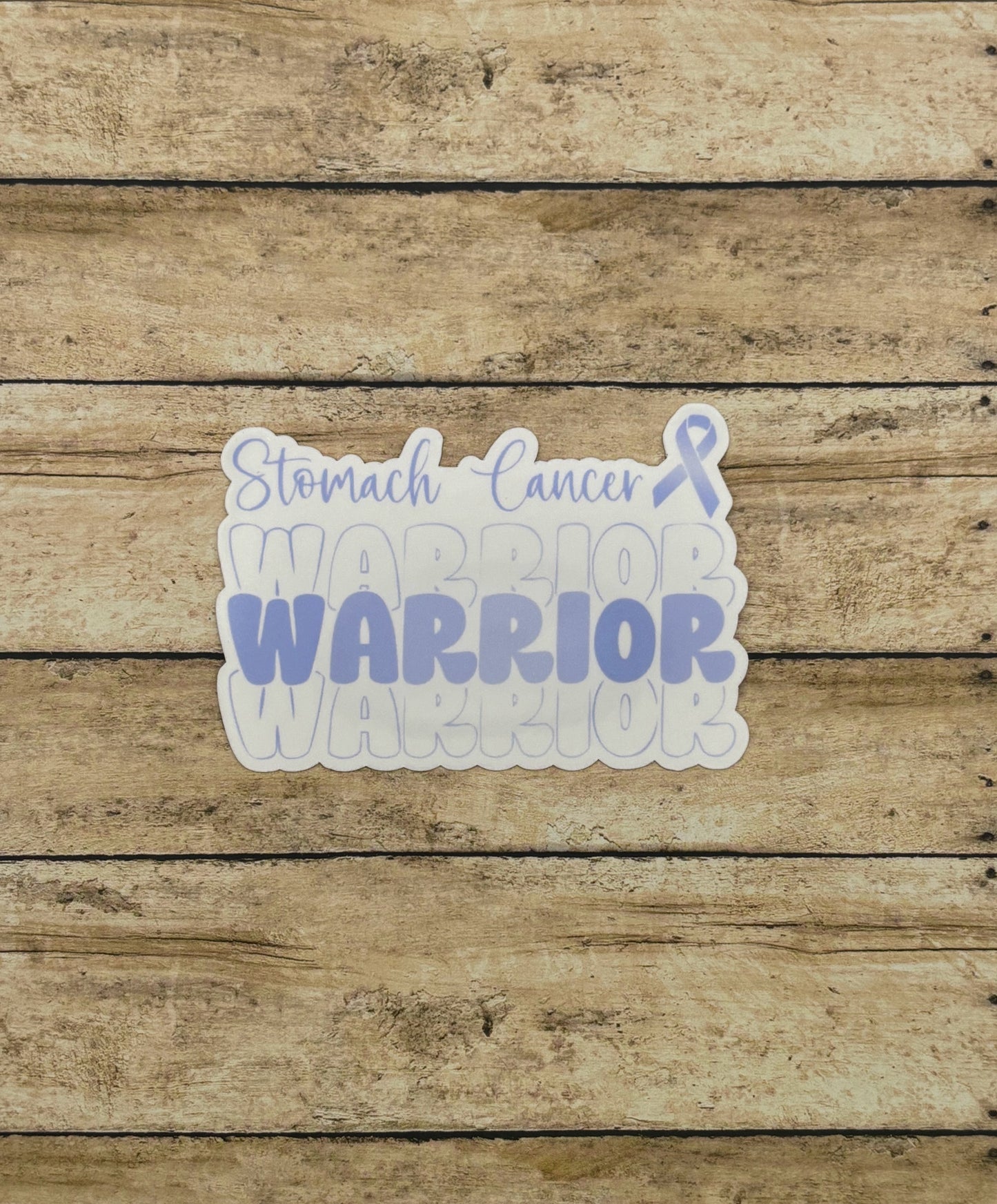Stomach Cancer Warrior Sticker