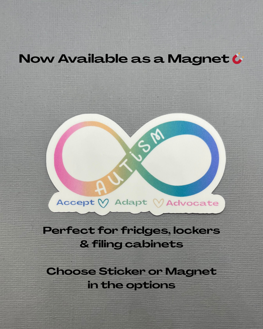 Autism Infinity Symbol Accept Adapt Advocate Sticker or Magnet