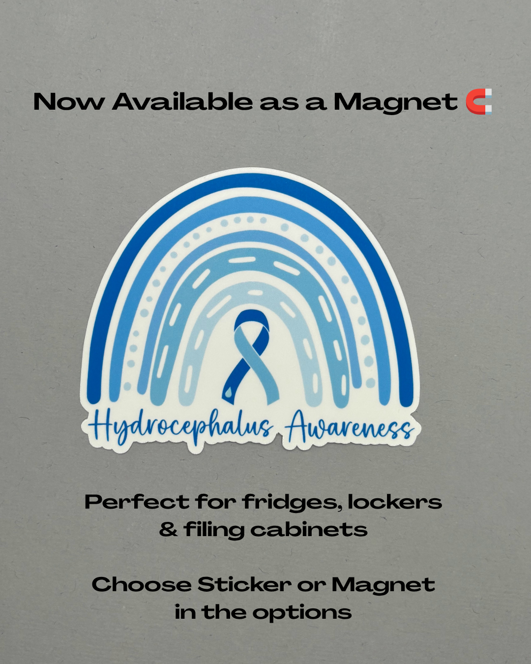 Hydrocephalus Awareness Rainbow Sticker or Magnet