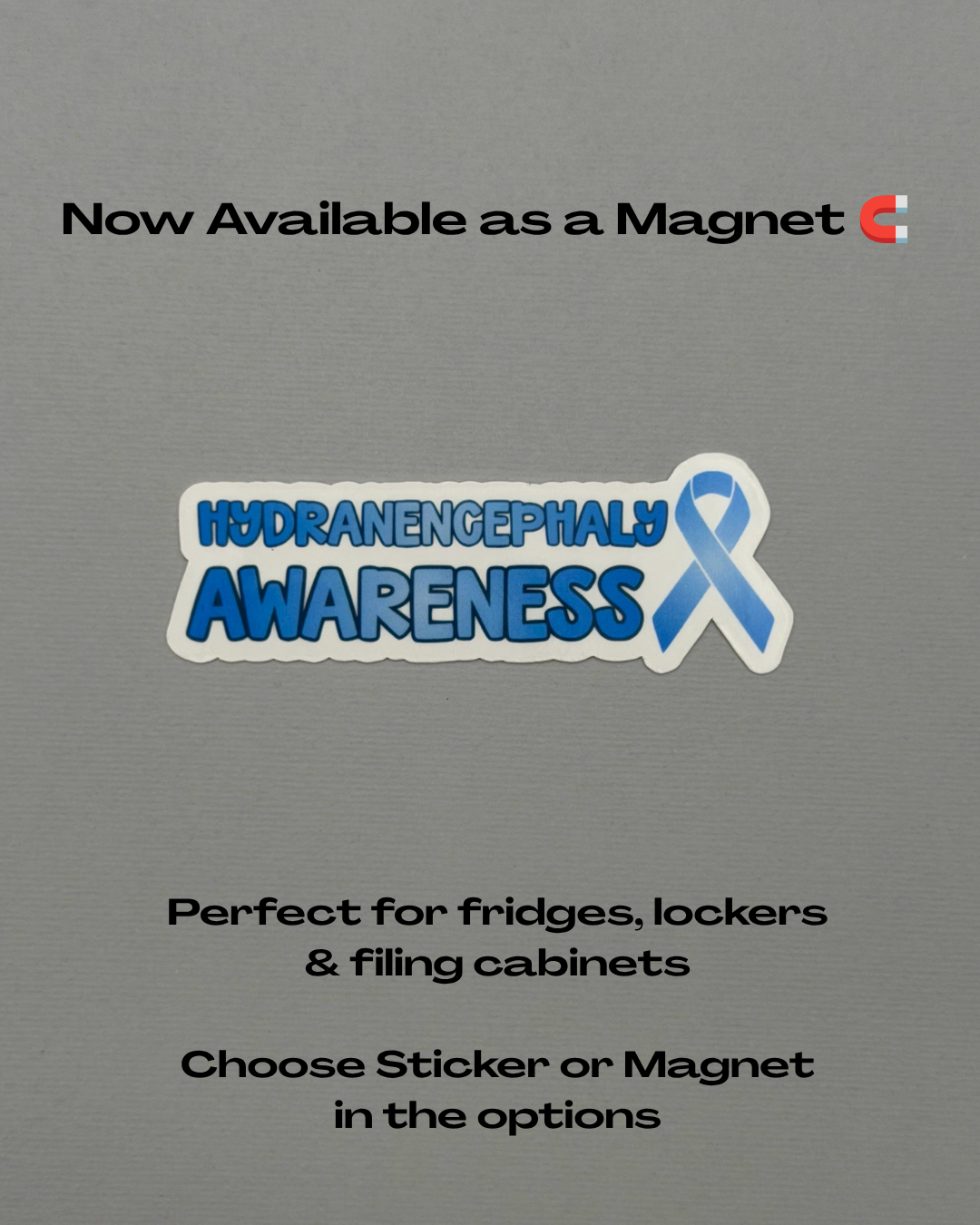 Hydranencephaly Awareness with Ribbon Sticker or Magnet