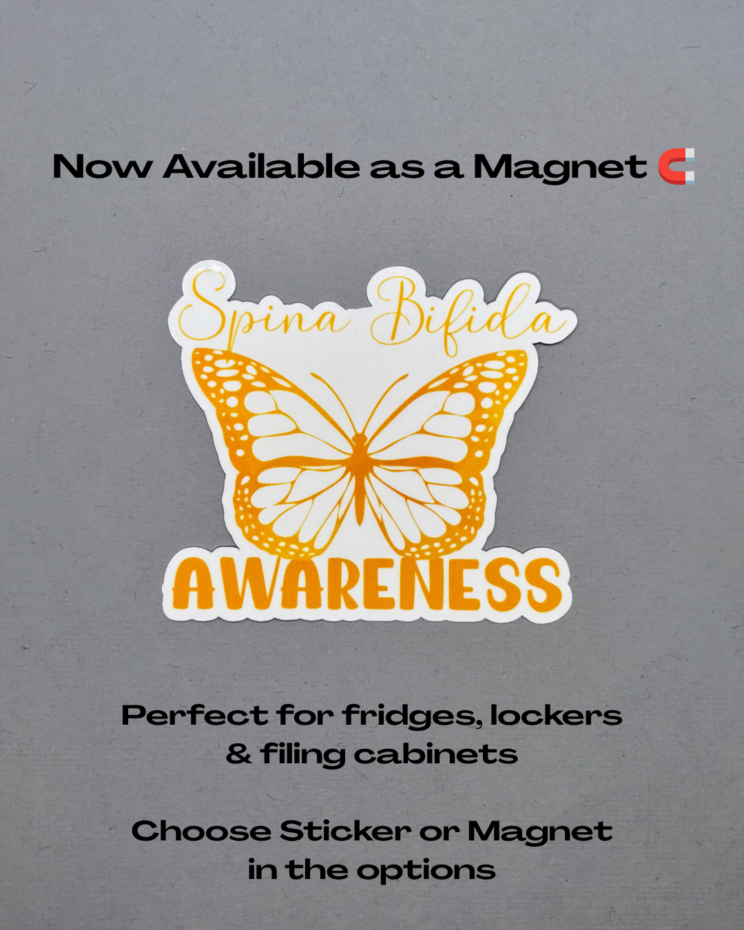 Spina Bifida Awareness Butterfly Sticker or Magnet