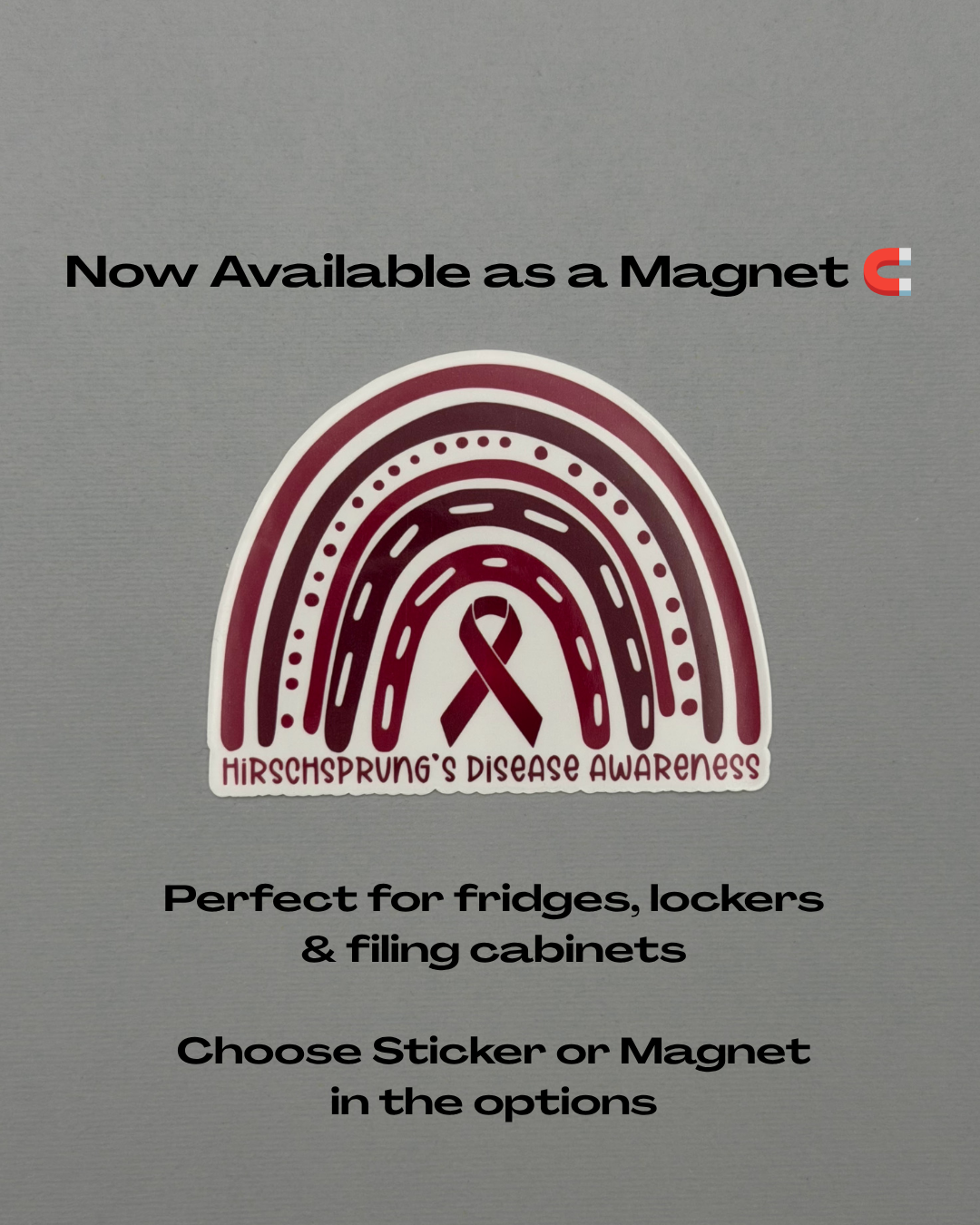 Hirschsprung's Disease Awareness Rainbow Sticker or Magnet