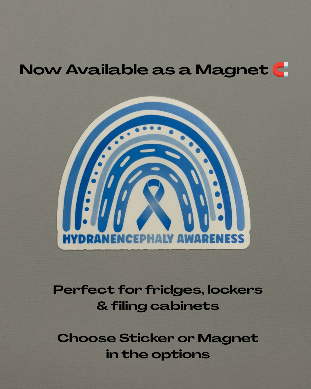 Hydranencephaly Awareness Rainbow Sticker or Magnet