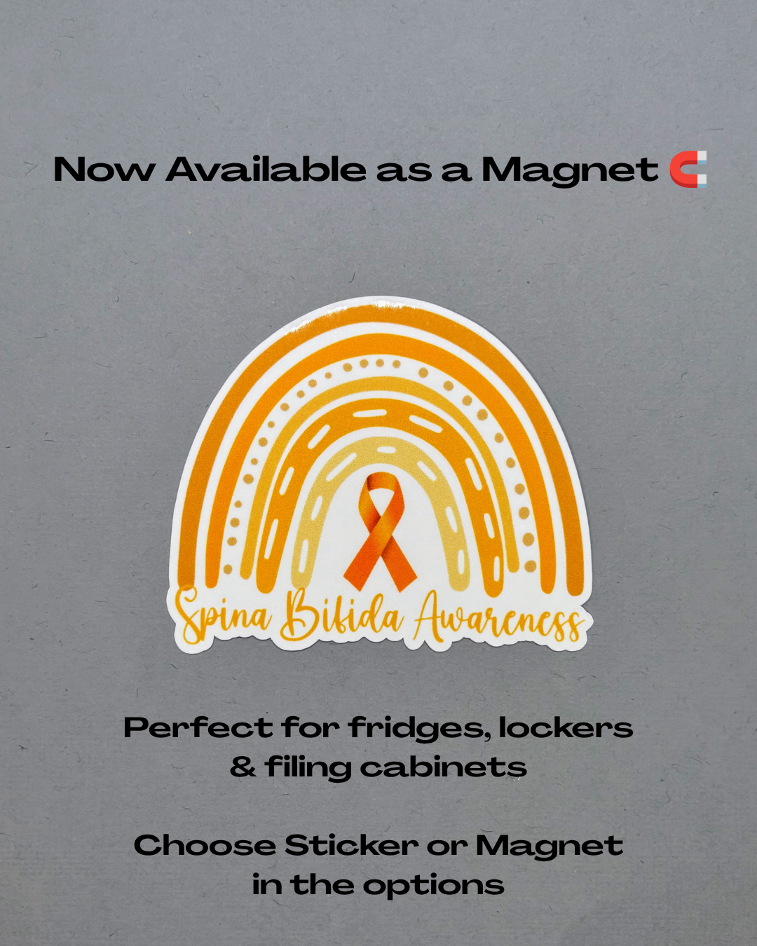 Spina Bifida Awareness Rainbow Sticker or Magnet