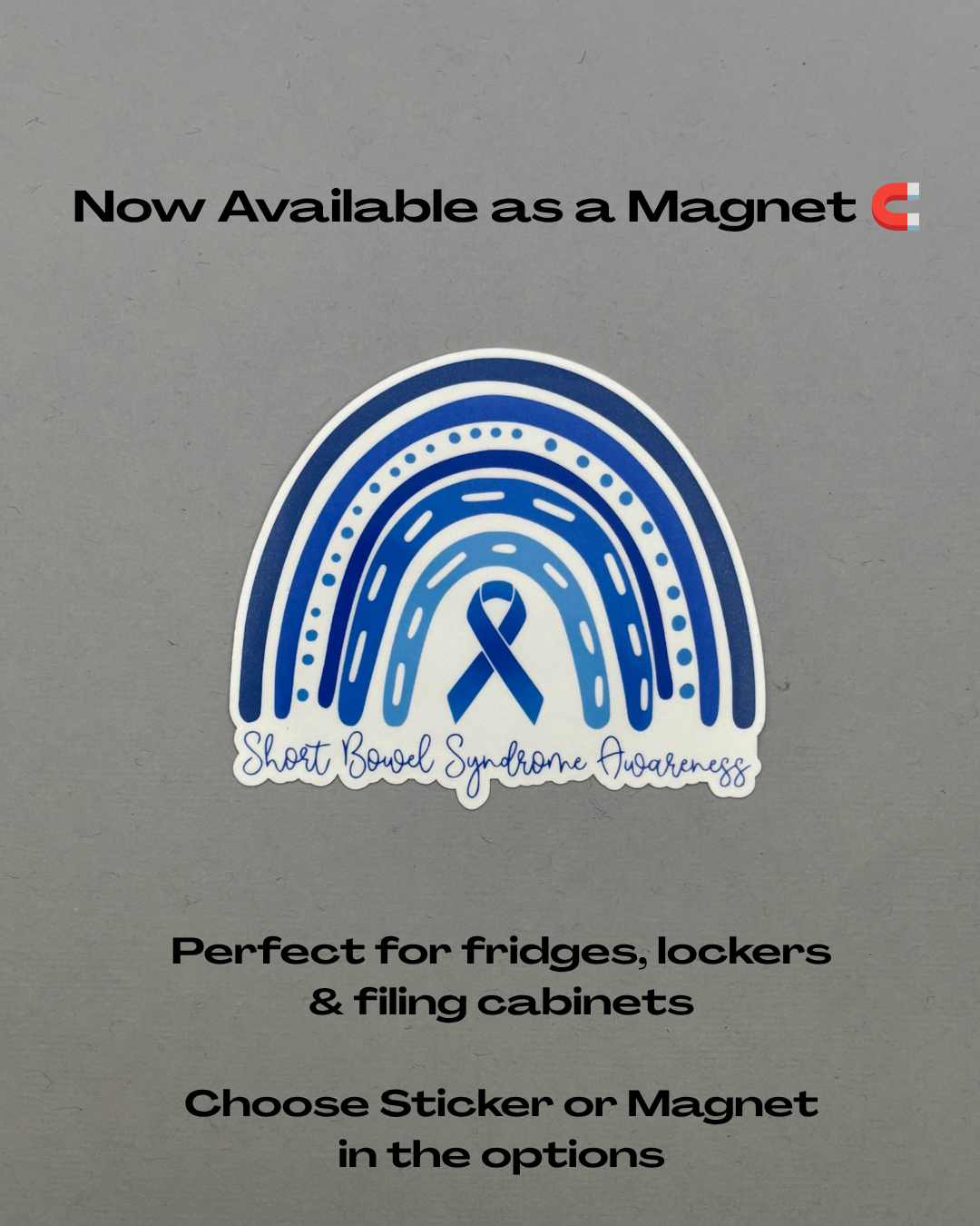 Short Bowel Syndrome Awareness Rainbow Sticker or Magnet