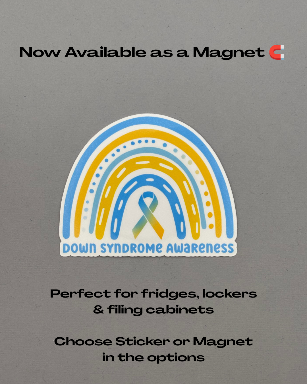 Down Syndrome Awareness Rainbow Sticker or Magnet
