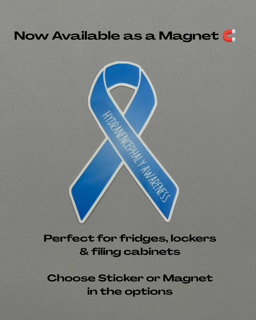 Hydranencephaly Awareness Ribbon Sticker or Magnet