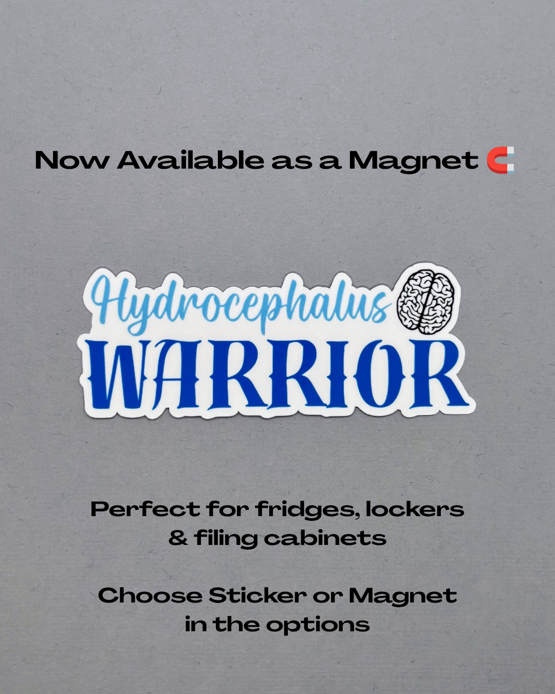 Hydrocephalus Warrior Brain Sticker or Magnet