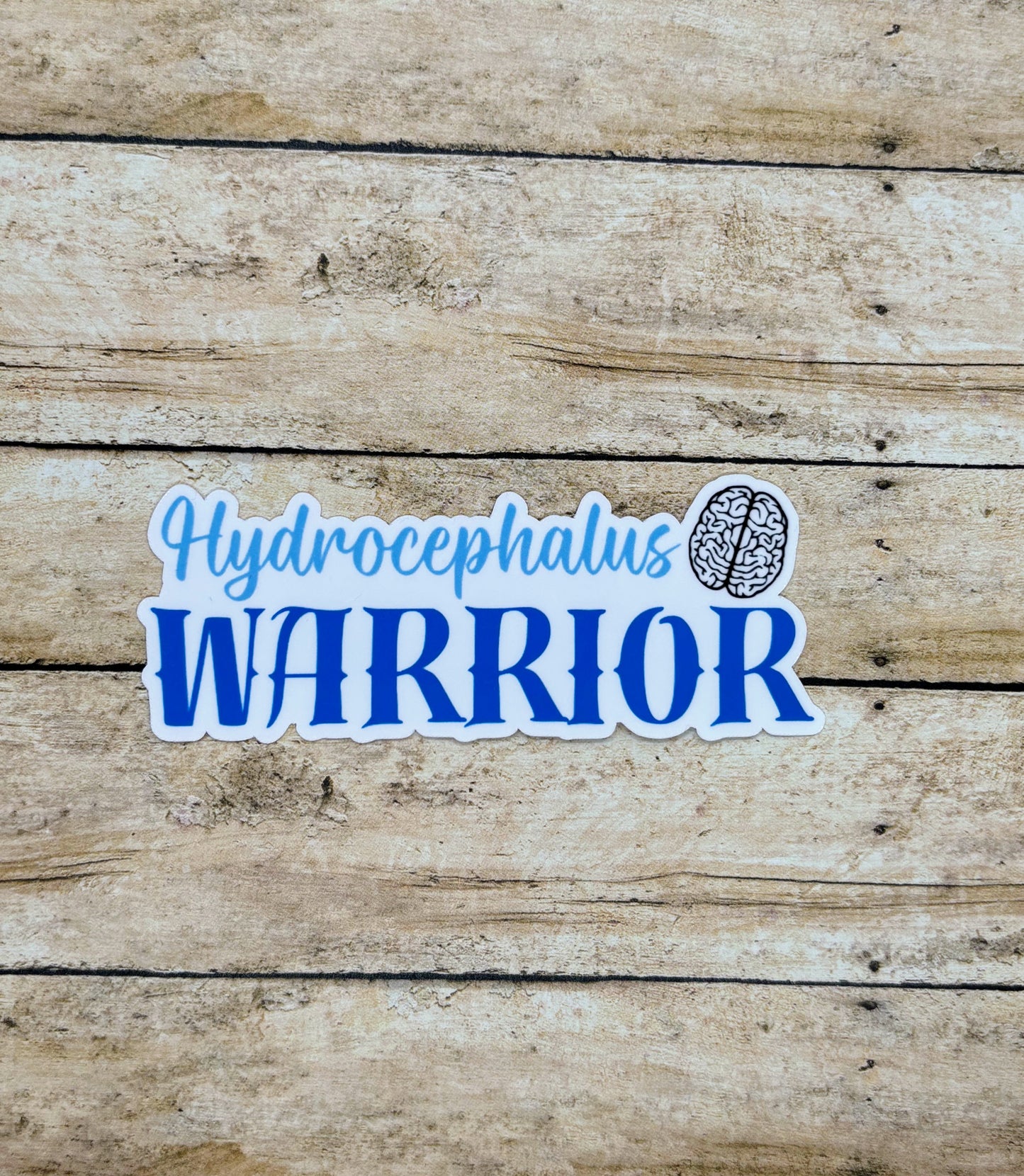 Hydrocephalus Warrior Brain Sticker