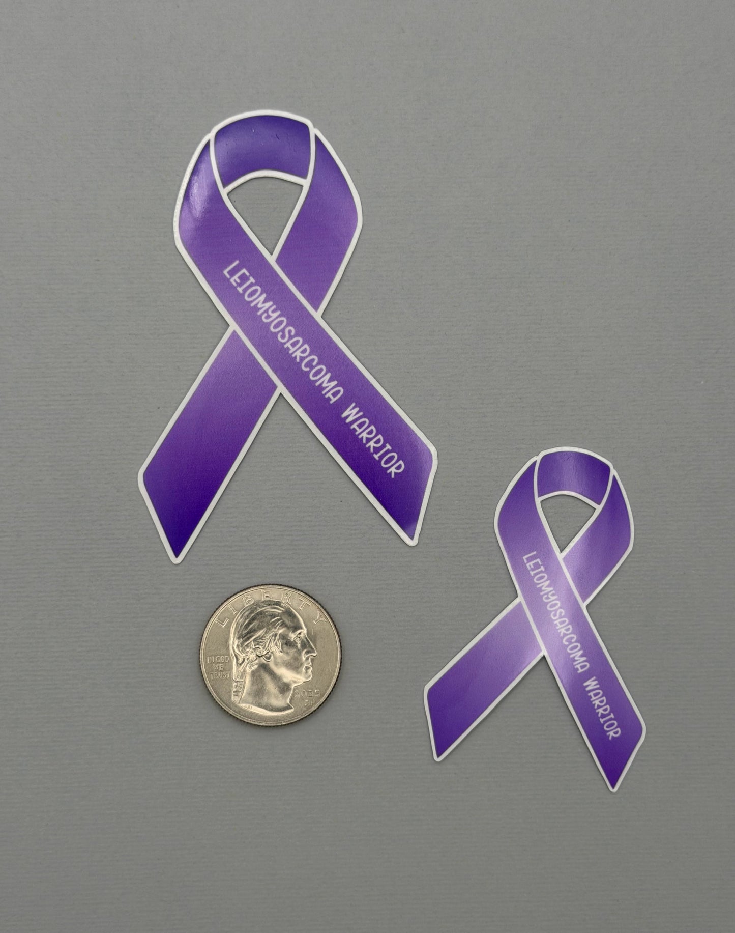Leiomyosarcoma Warrior Ribbon Sticker or Magnet