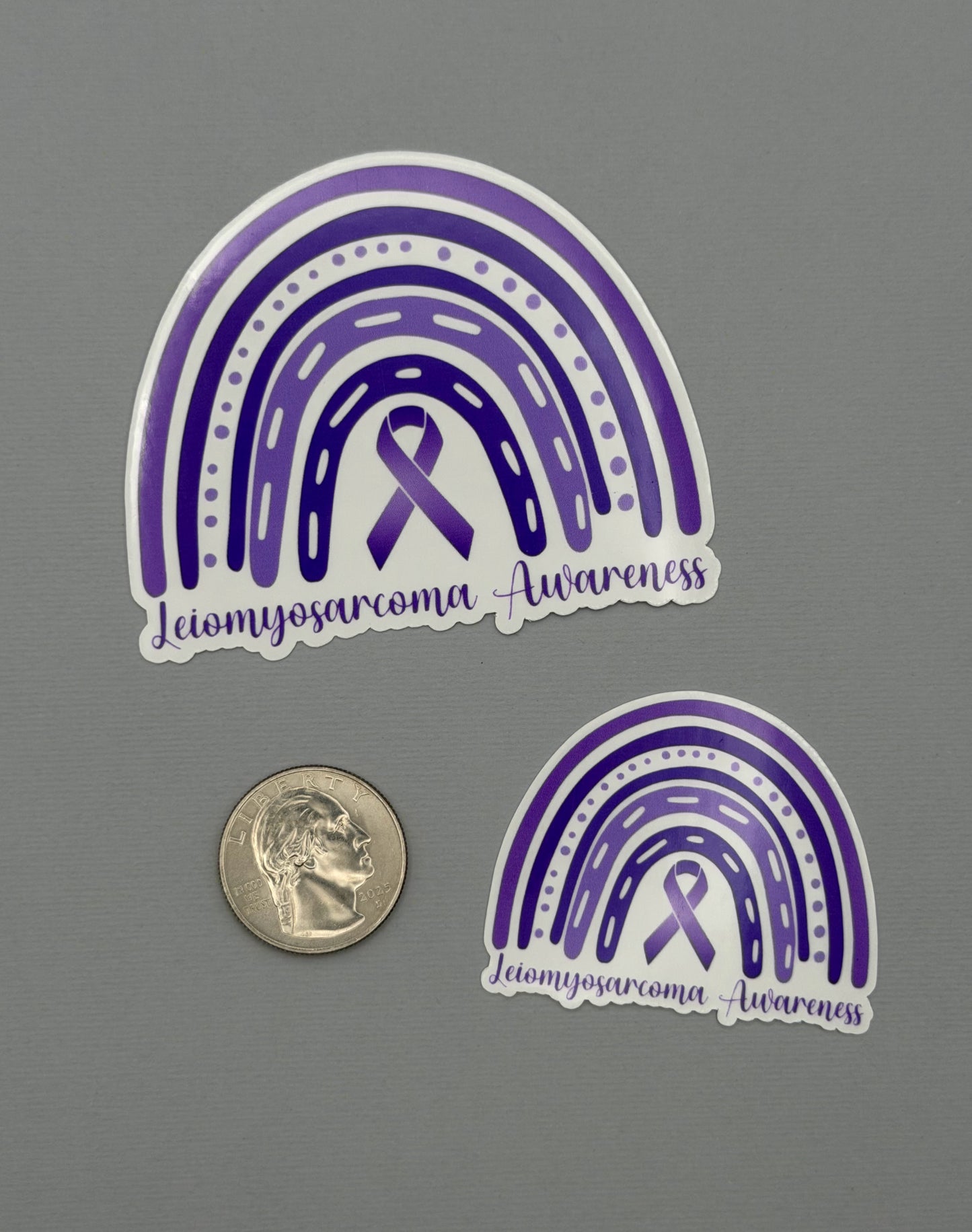 Leiomyosarcoma Awareness Rainbow Sticker or Magnet