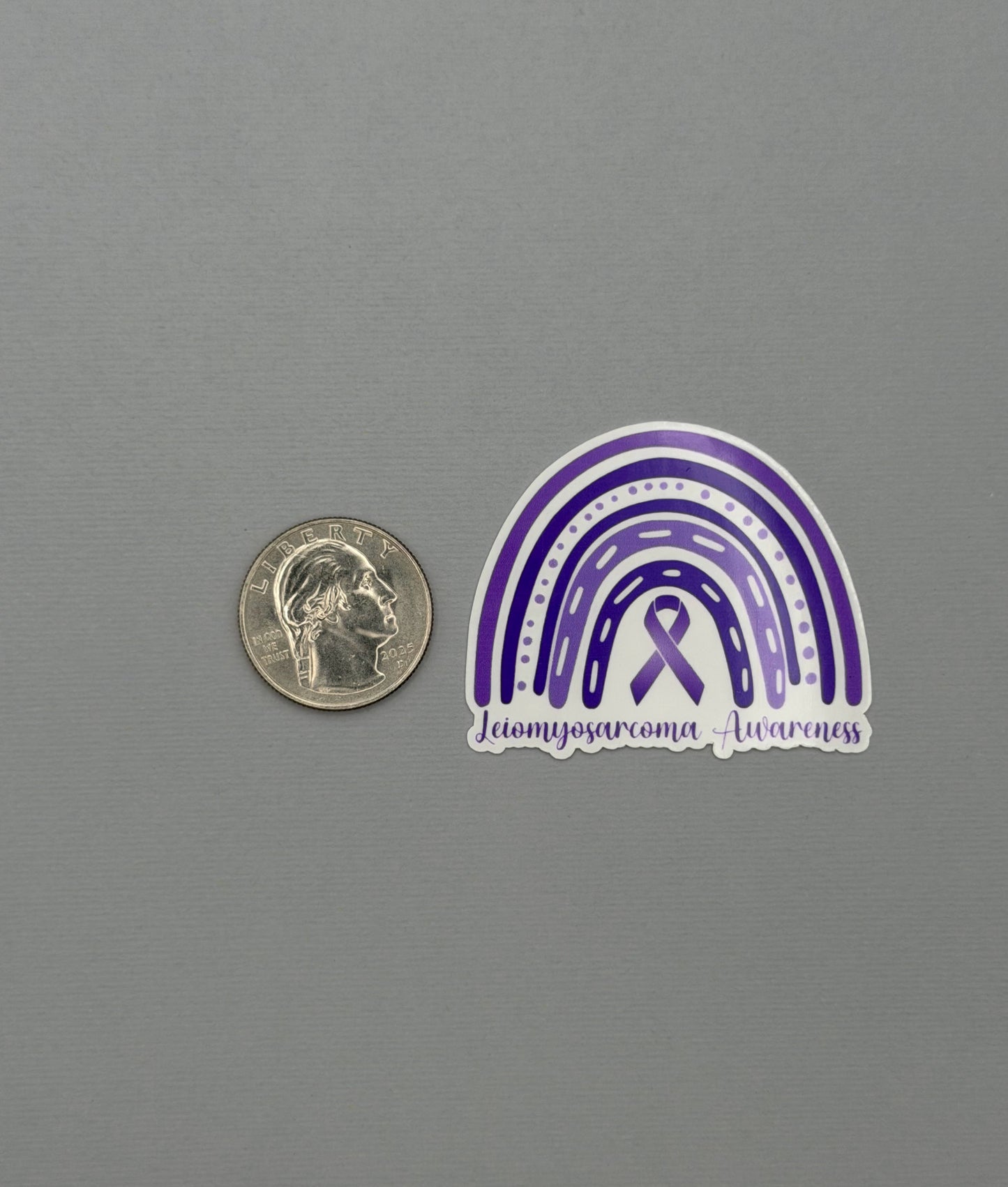 Leiomyosarcoma Awareness Rainbow Sticker or Magnet