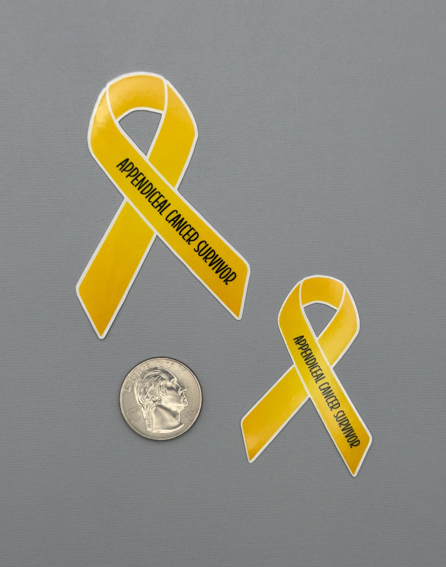 Appendiceal Cancer Survivor Ribbon Sticker or Magnet
