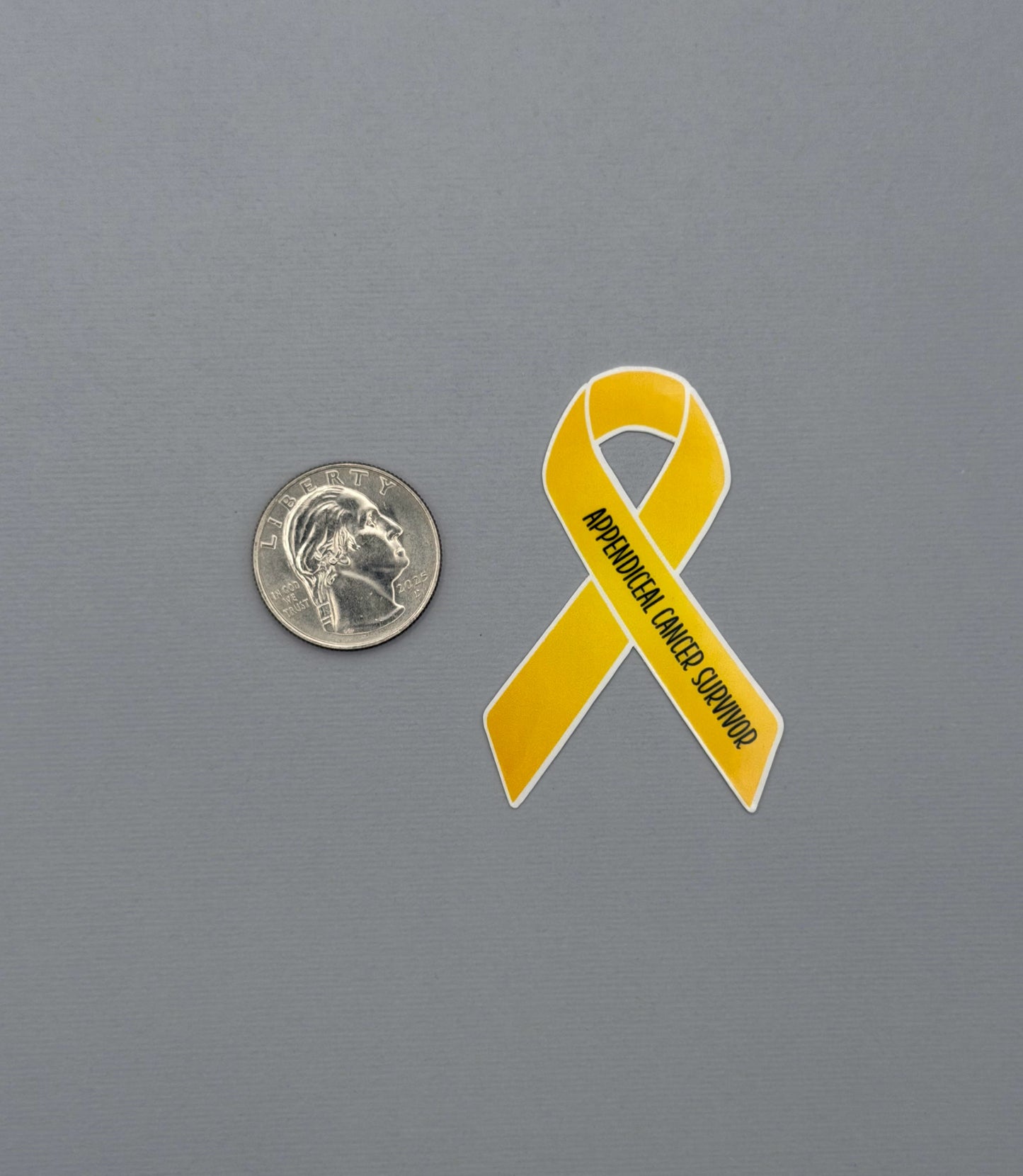 Appendiceal Cancer Survivor Ribbon Sticker or Magnet