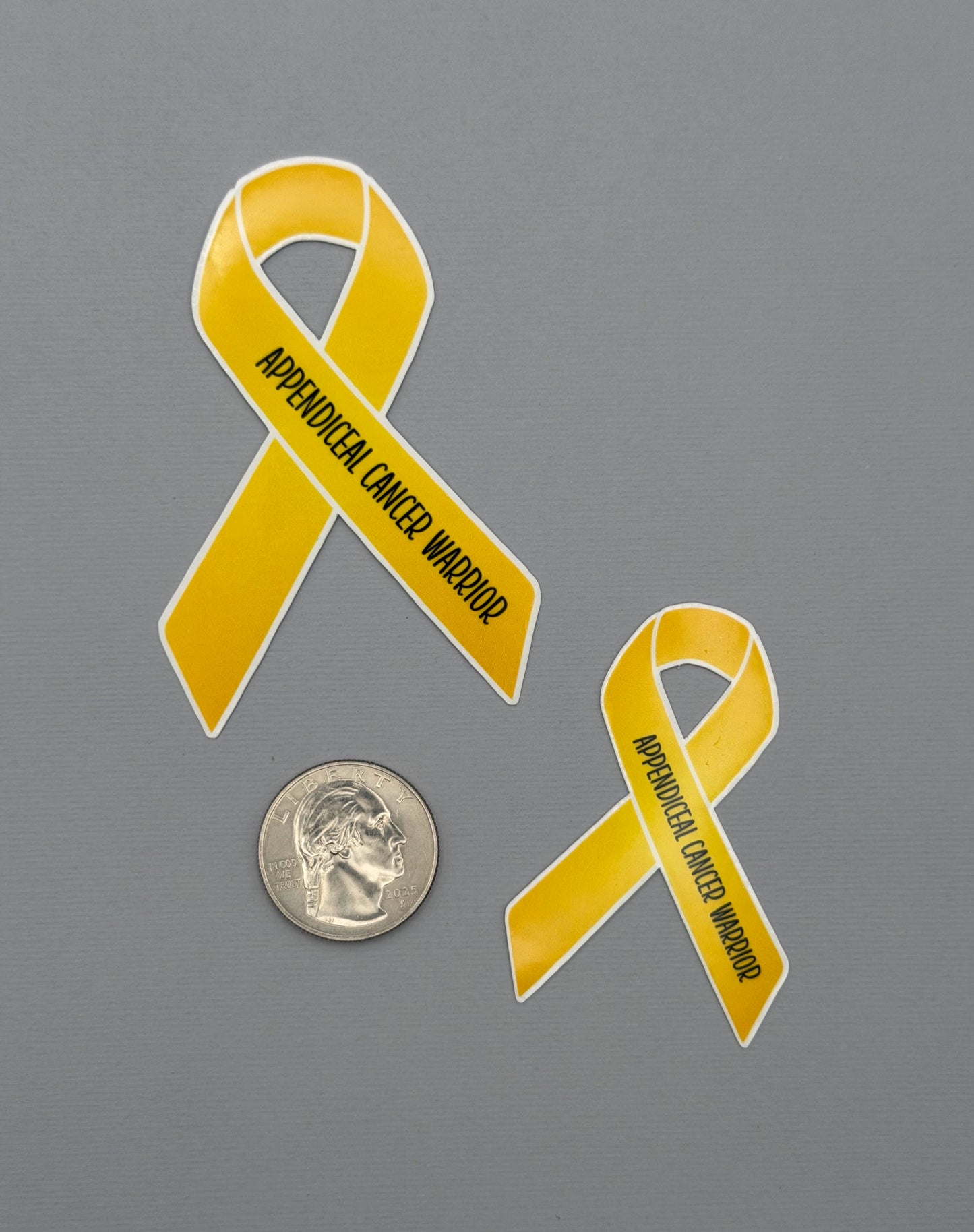 Appendiceal Cancer Warrior Ribbon Sticker or Magnet