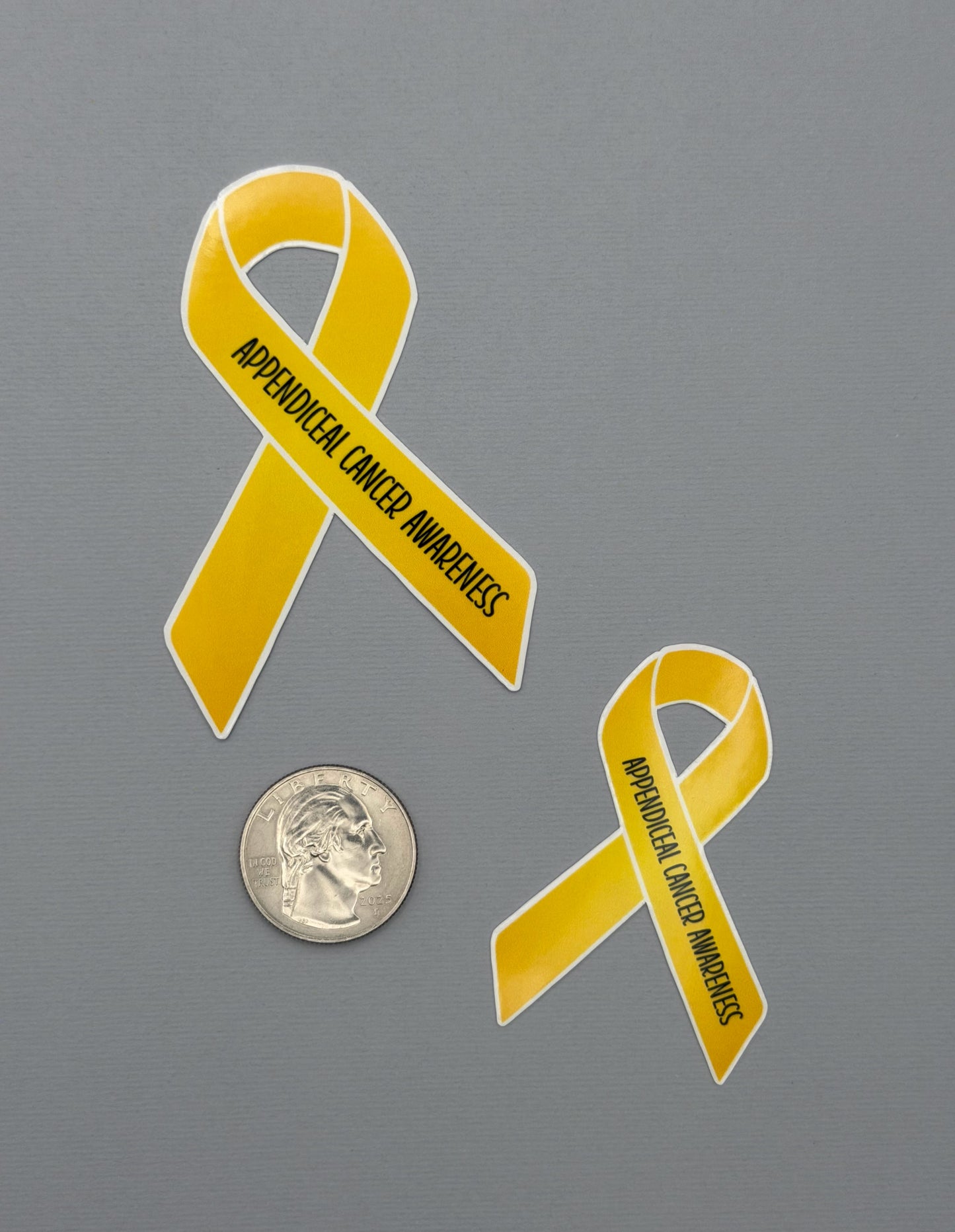 Appendiceal Cancer Awareness Ribbon Sticker or Magnet
