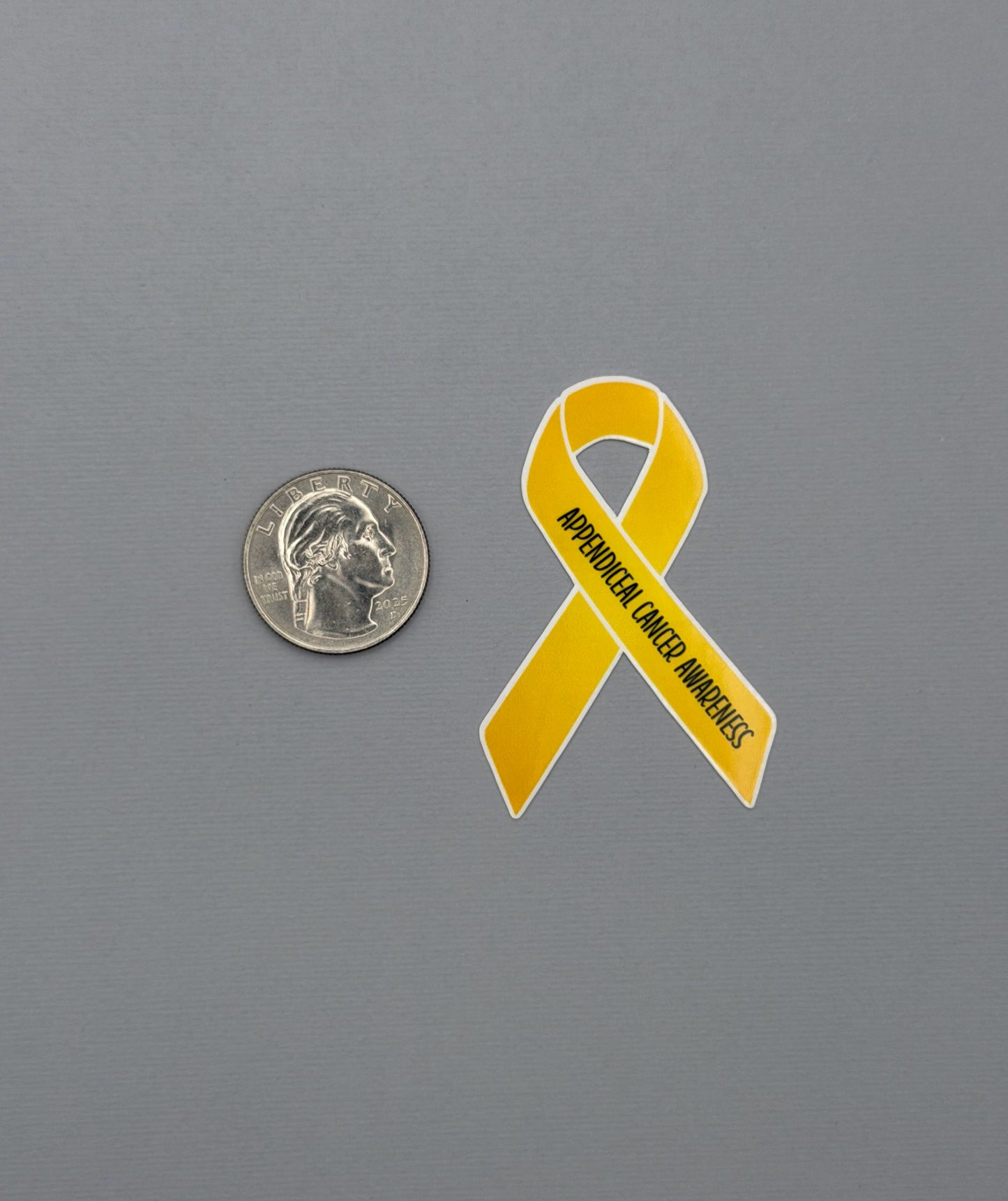 Appendiceal Cancer Awareness Ribbon Sticker or Magnet