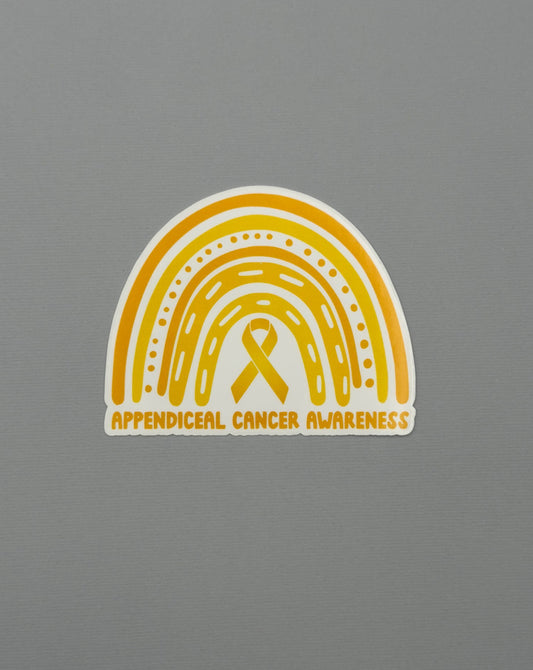 Appendiceal Cancer Awareness Rainbow Sticker or Magnet