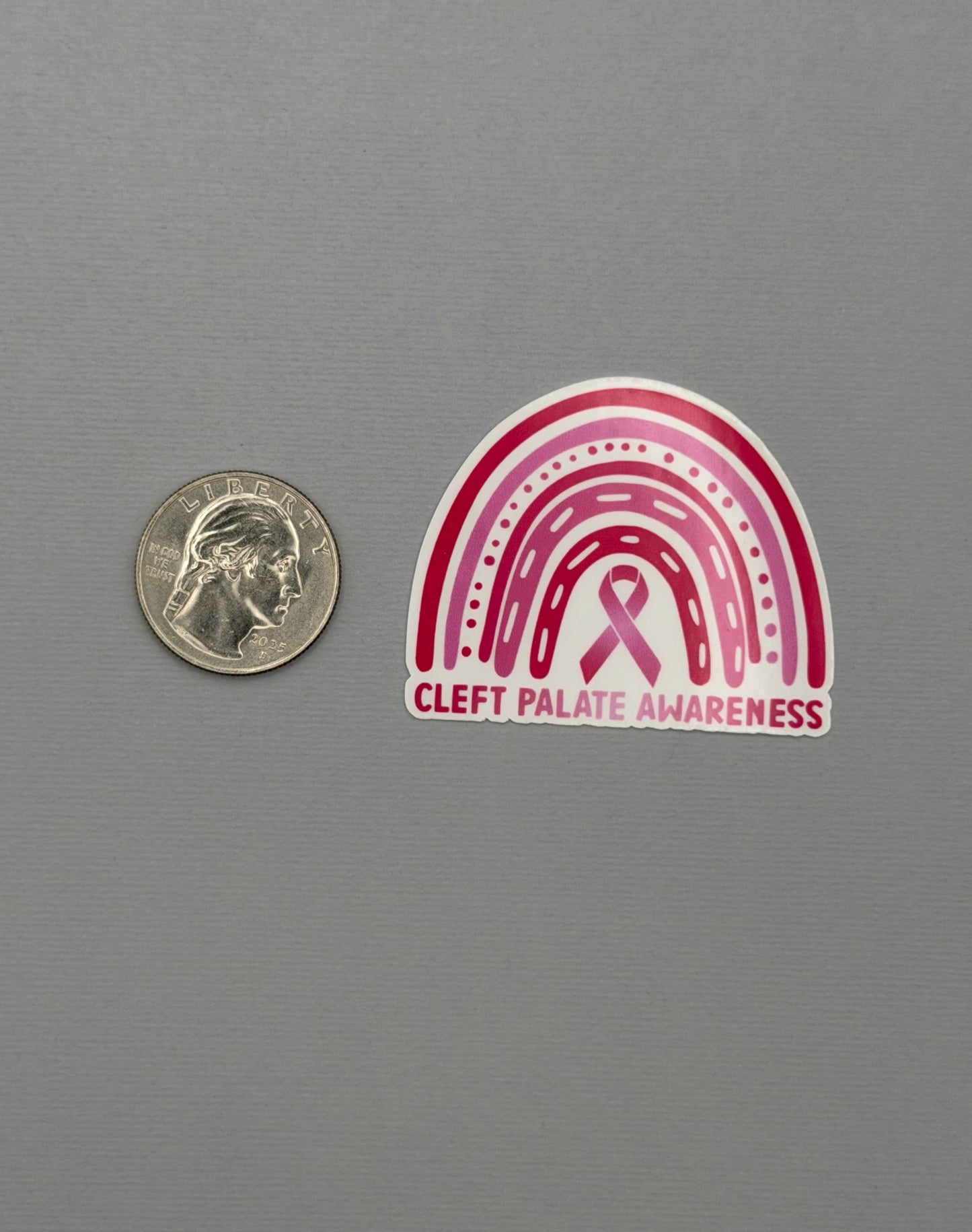 Cleft Palate Awareness Rainbow Sticker or Magnet