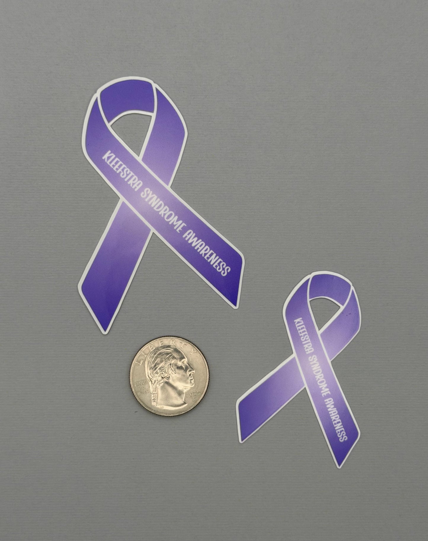 Kleefstra Syndrome Awareness Ribbon Sticker or Magnet