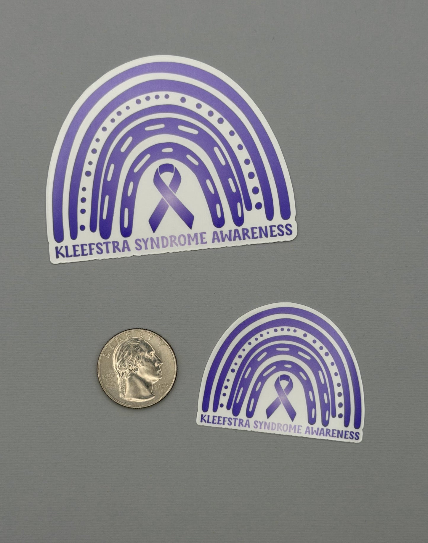 Kleefstra Syndrome Awareness Rainbow Sticker or Magnet