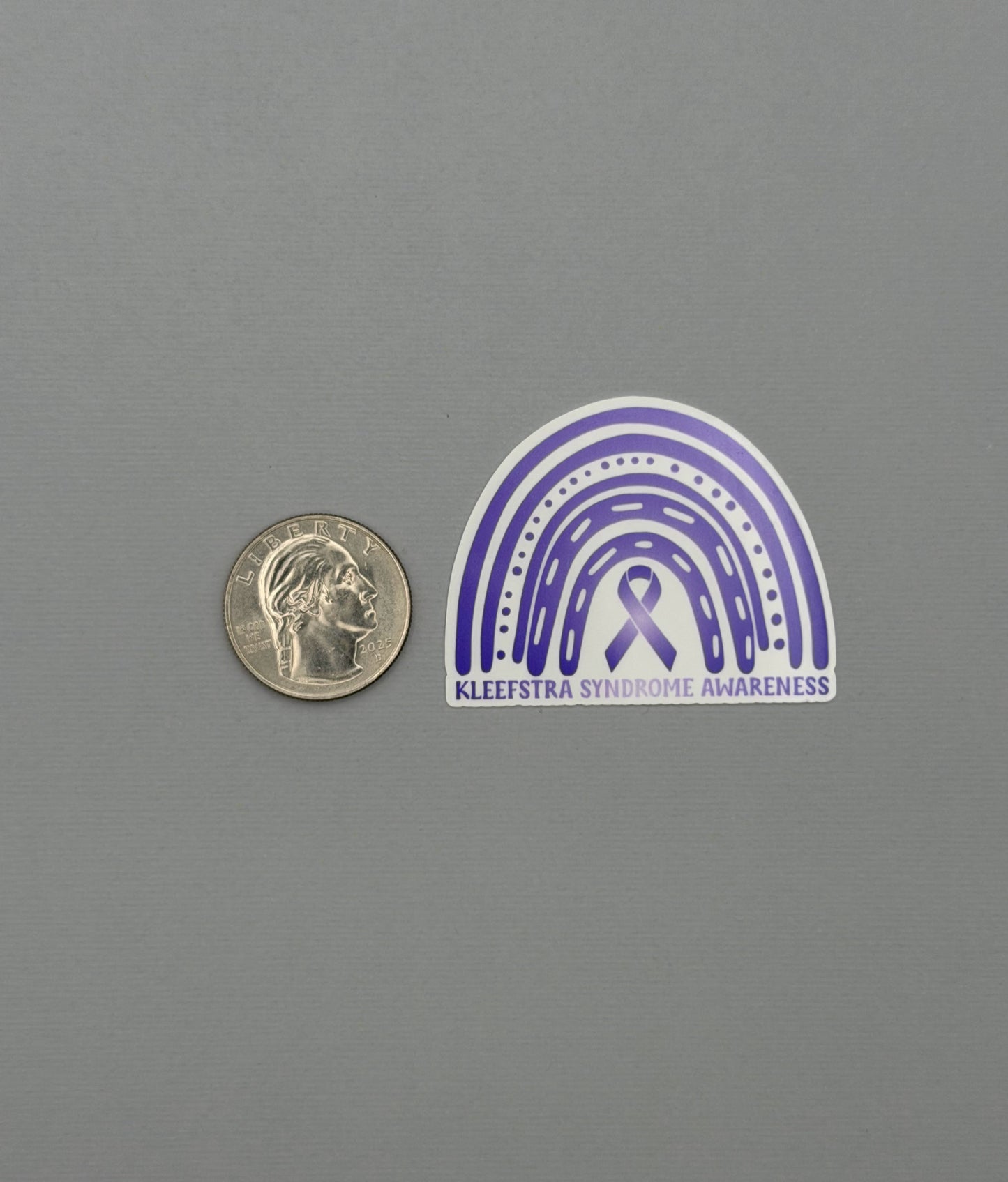 Kleefstra Syndrome Awareness Rainbow Sticker or Magnet