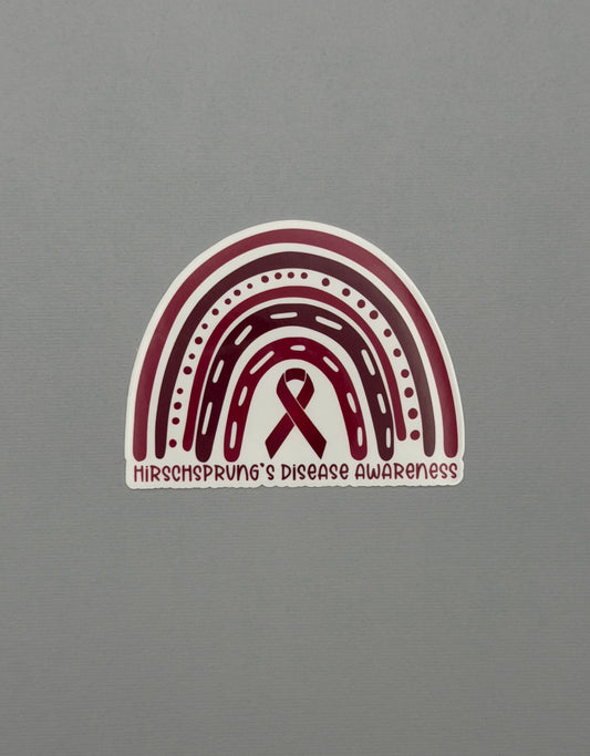Hirschsprung's Disease Awareness Rainbow Sticker or Magnet