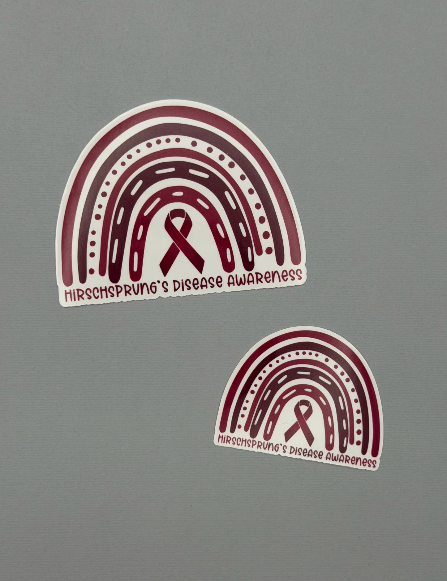 Hirschsprung's Disease Awareness Rainbow Sticker or Magnet