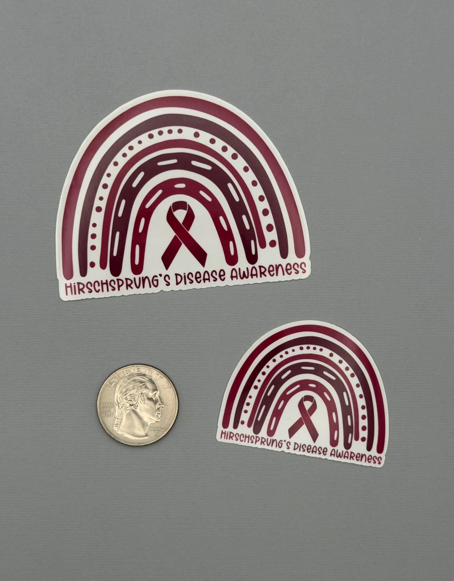 Hirschsprung's Disease Awareness Rainbow Sticker or Magnet