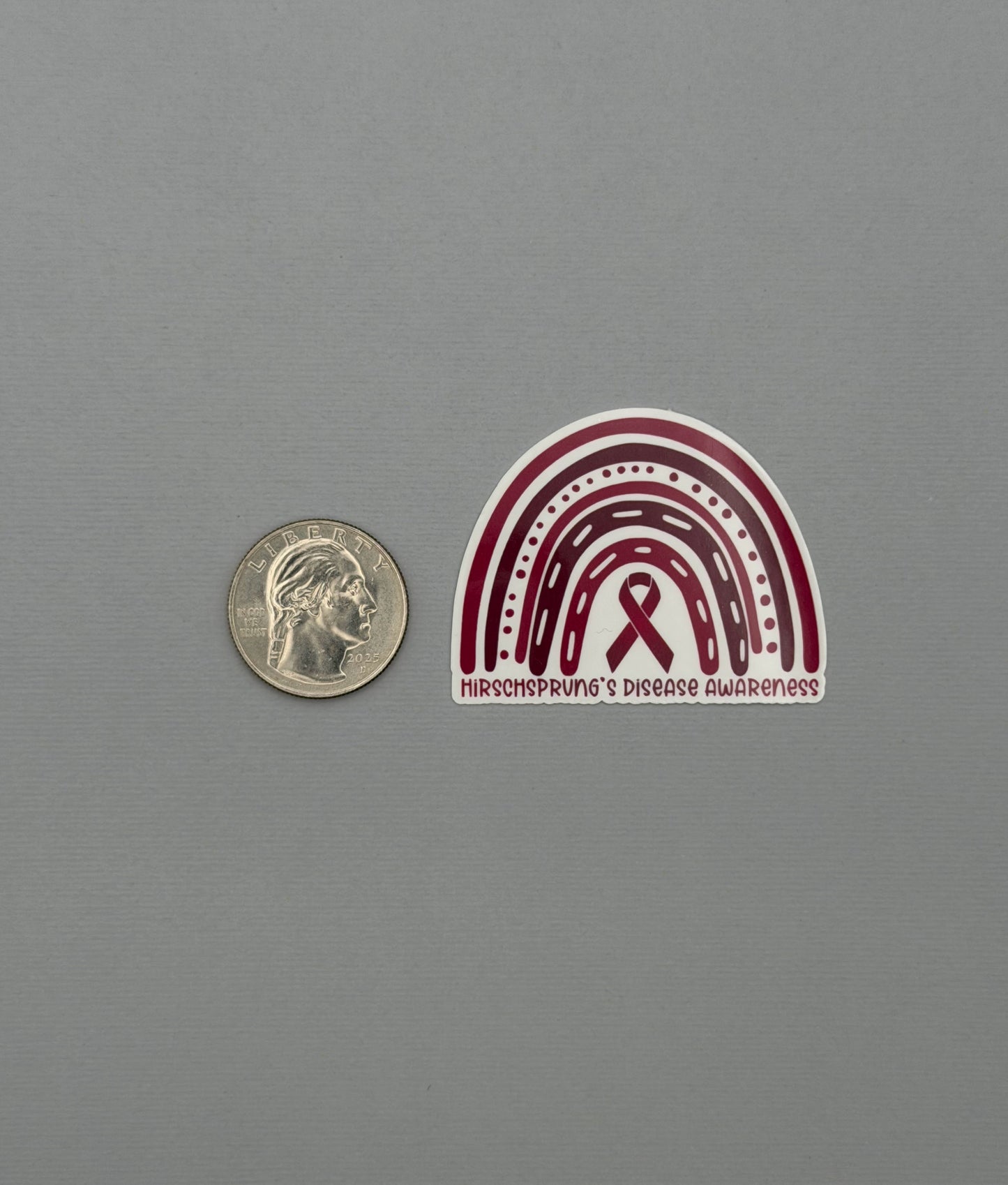 Hirschsprung's Disease Awareness Rainbow Sticker or Magnet