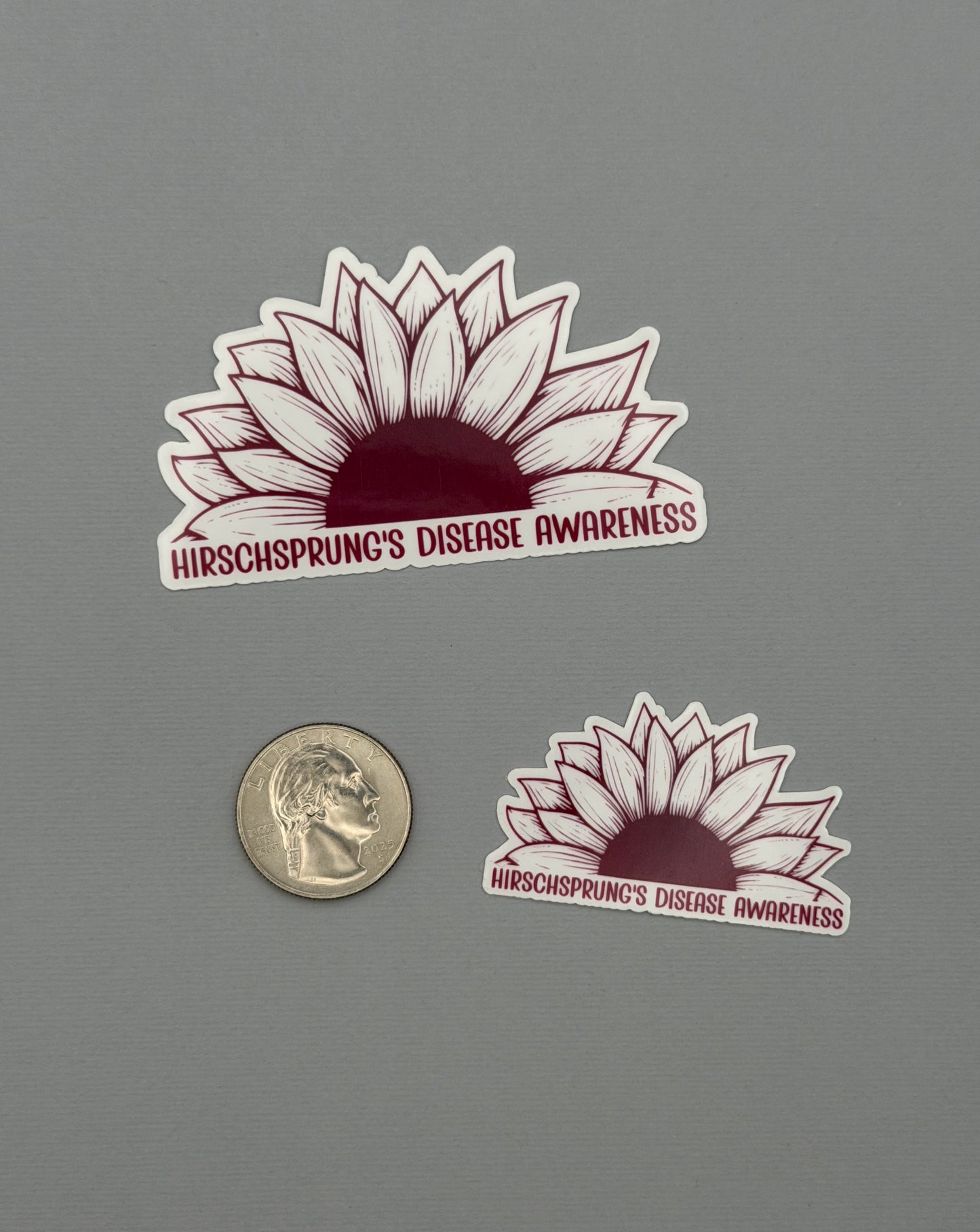 Hirschsprung's Disease Awareness Sunflower Sticker or Magnet