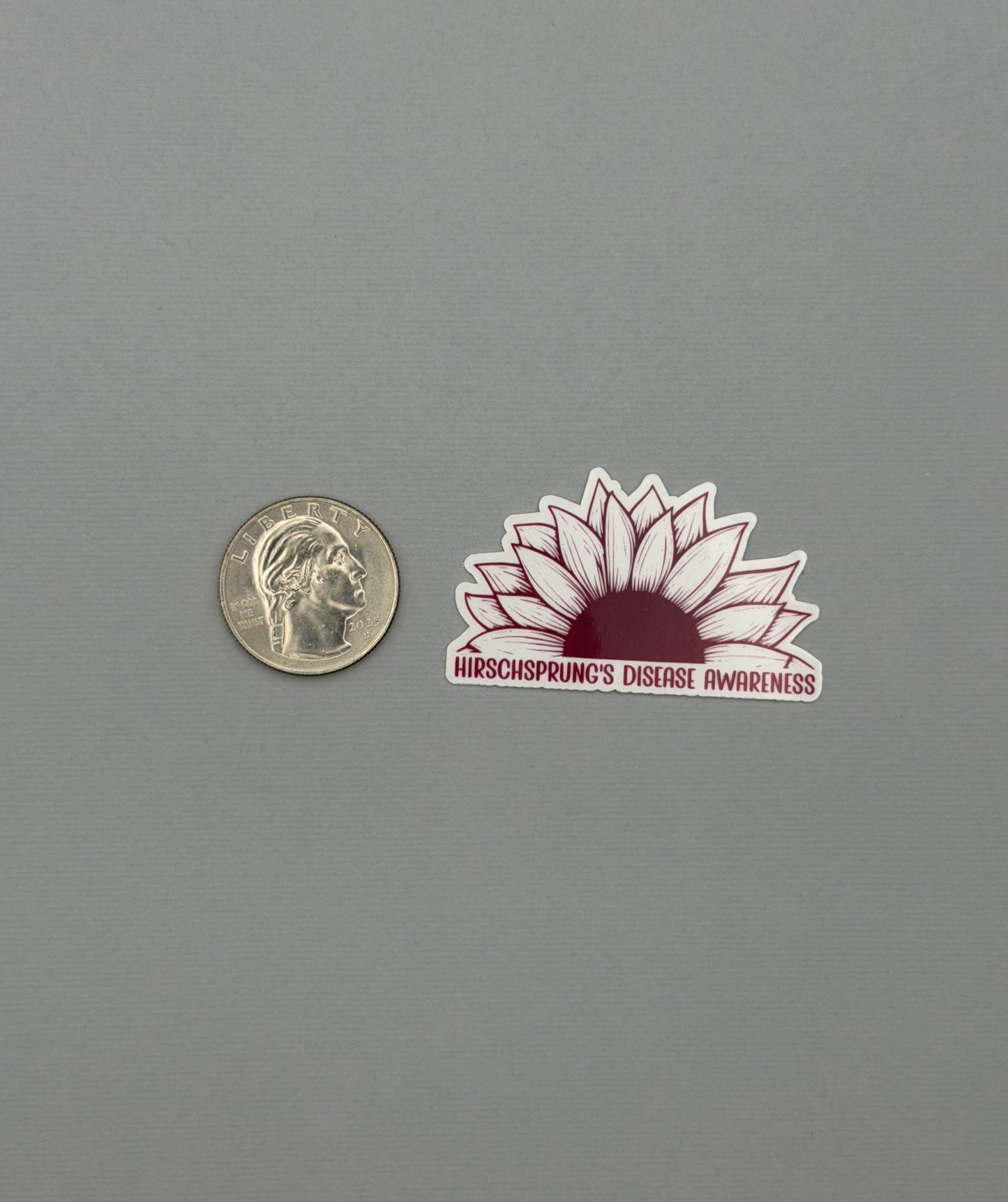 Hirschsprung's Disease Awareness Sunflower Sticker or Magnet