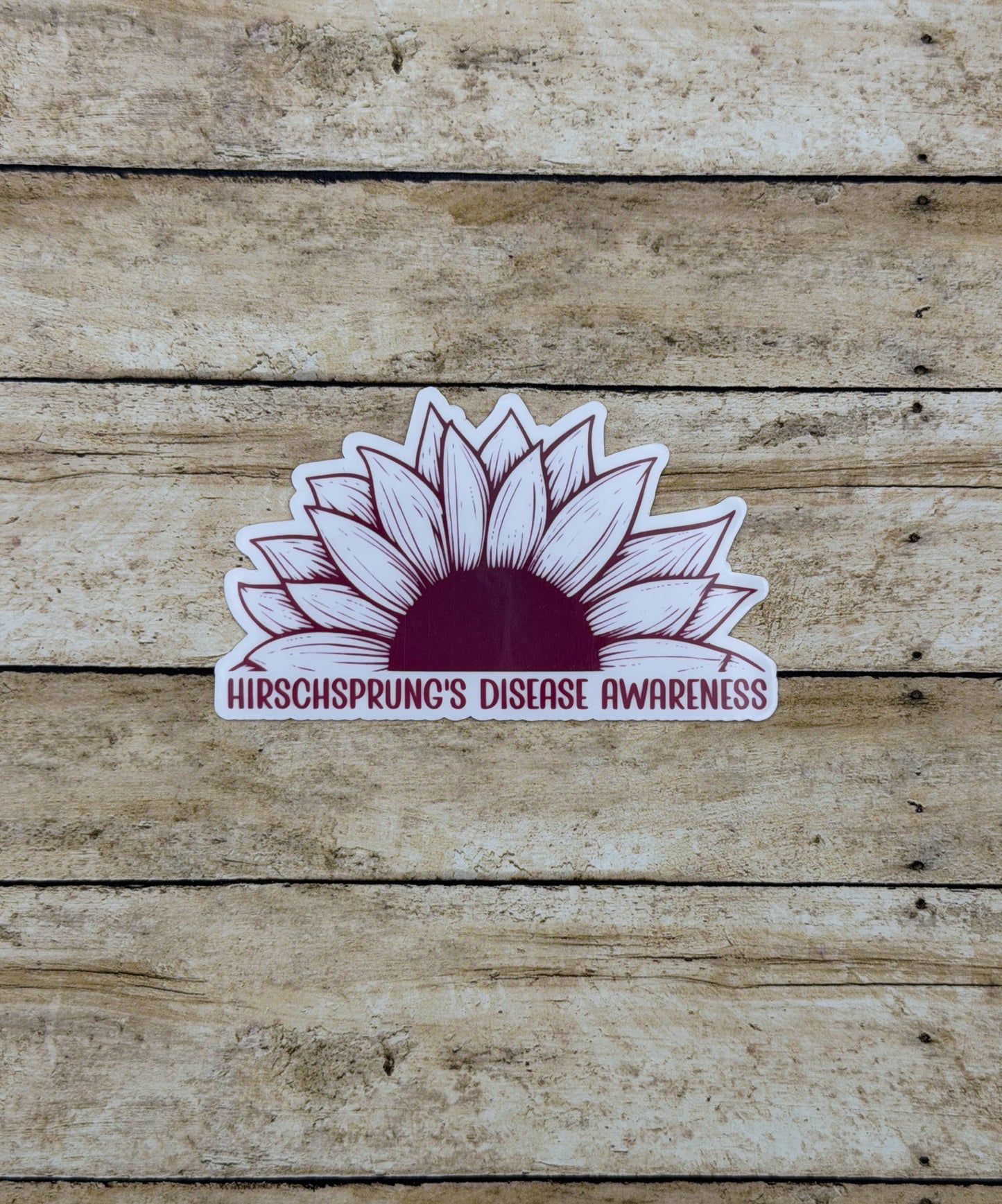Hirschsprung's Disease Awareness Sunflower Sticker or Magnet