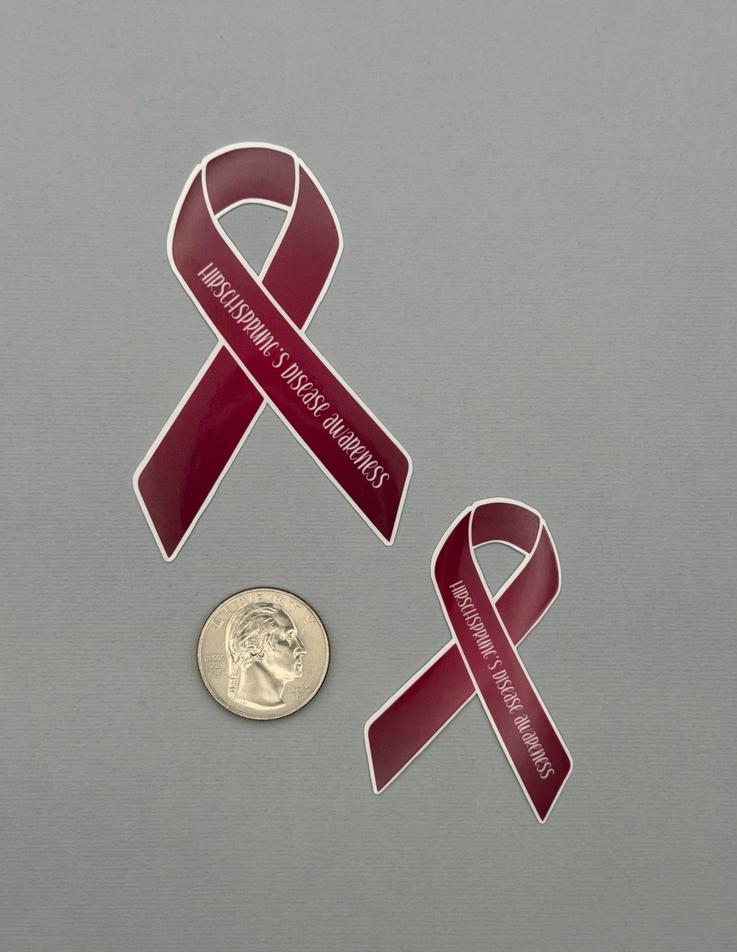 Hirschsprung's Disease Awareness Ribbon Sticker or Magnet