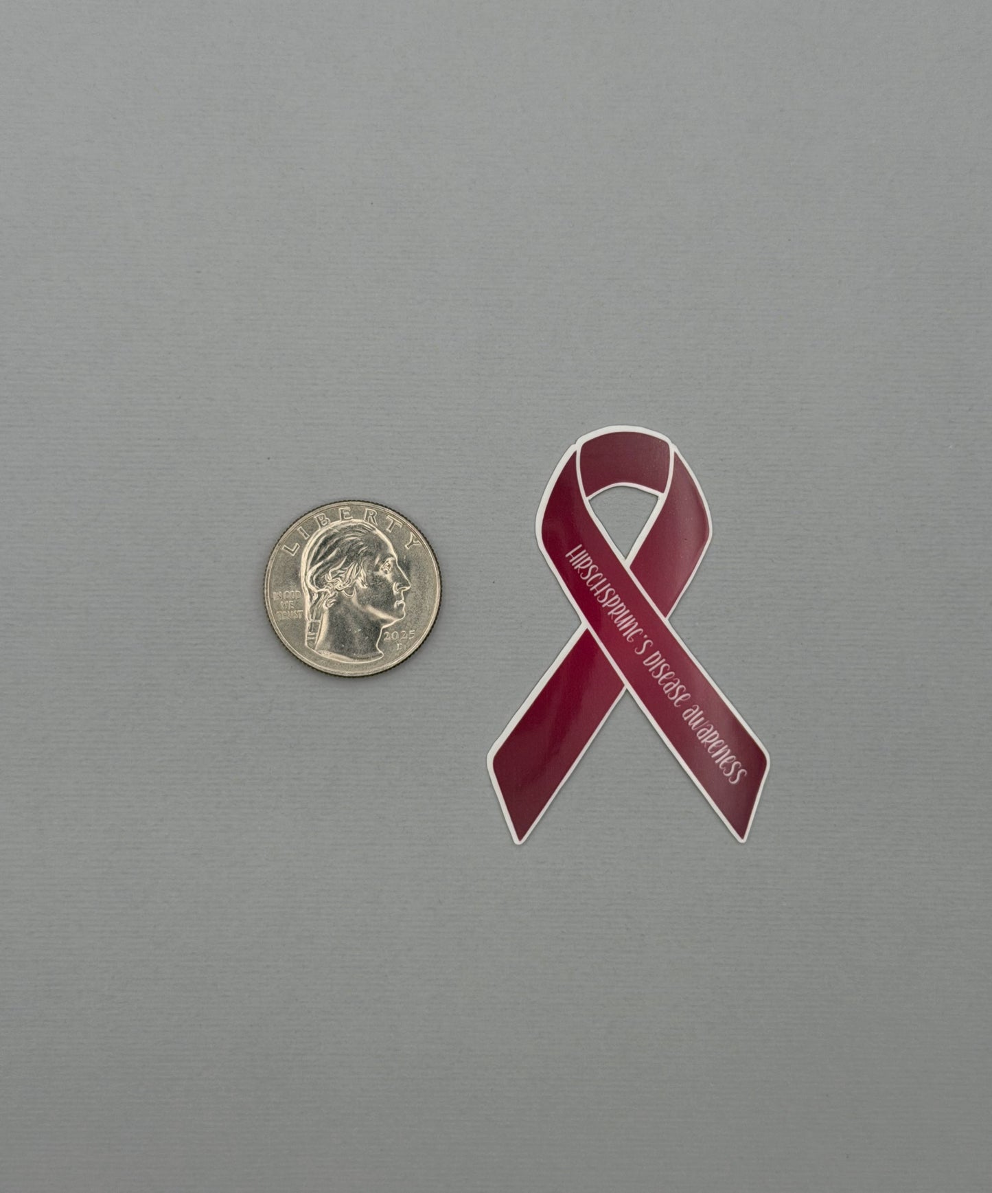 Hirschsprung's Disease Awareness Ribbon Sticker or Magnet