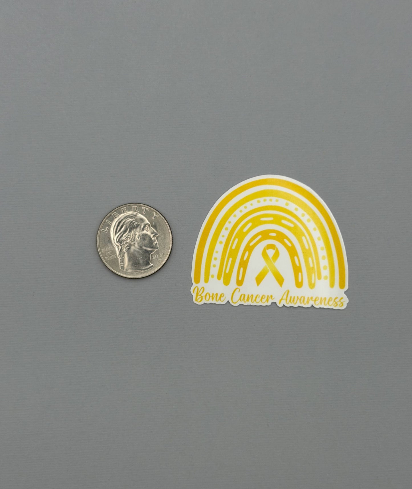 Bone Cancer Awareness Rainbow Sticker or Magnet