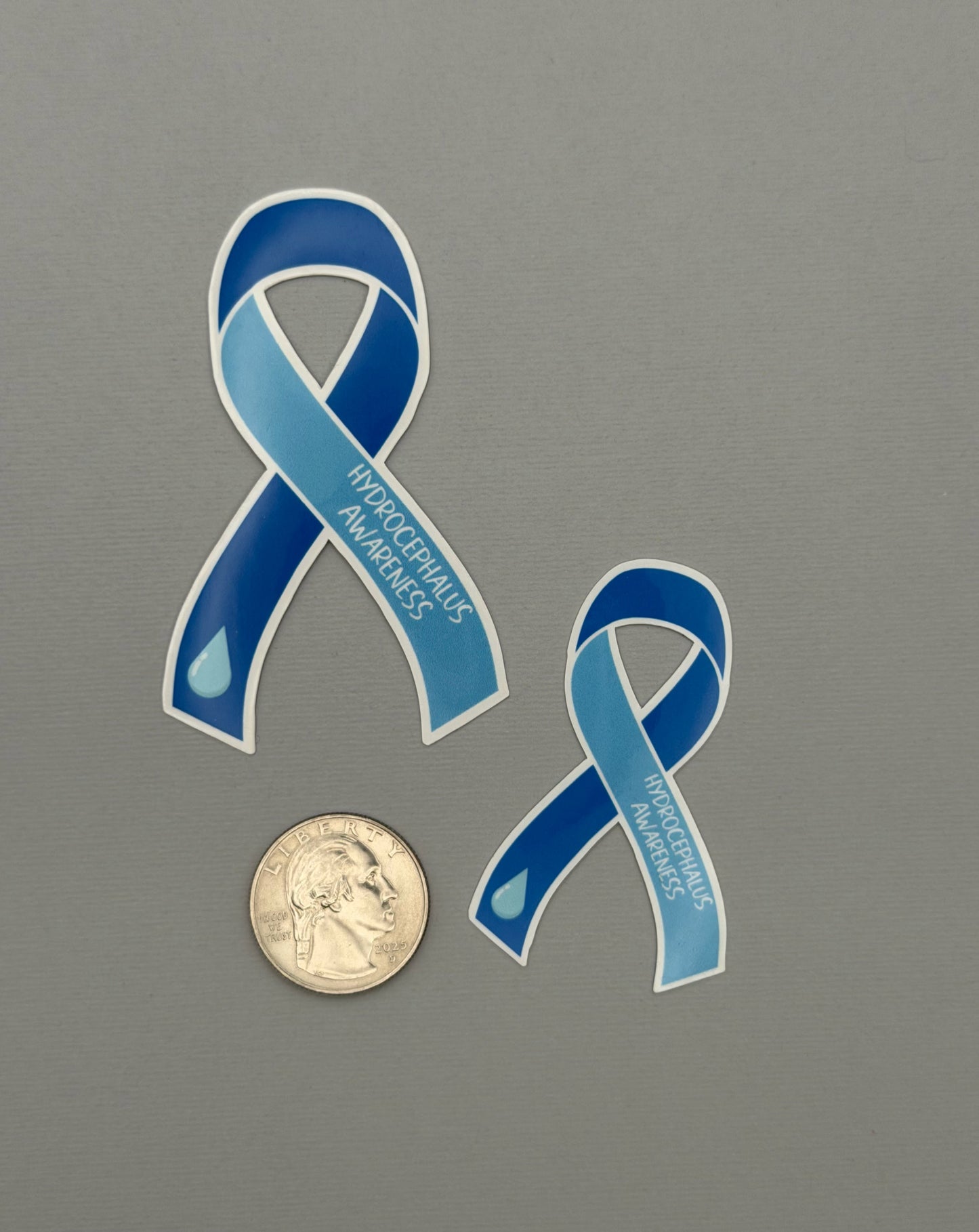 Hydrocephalus Awareness Ribbon Sticker or Magnet
