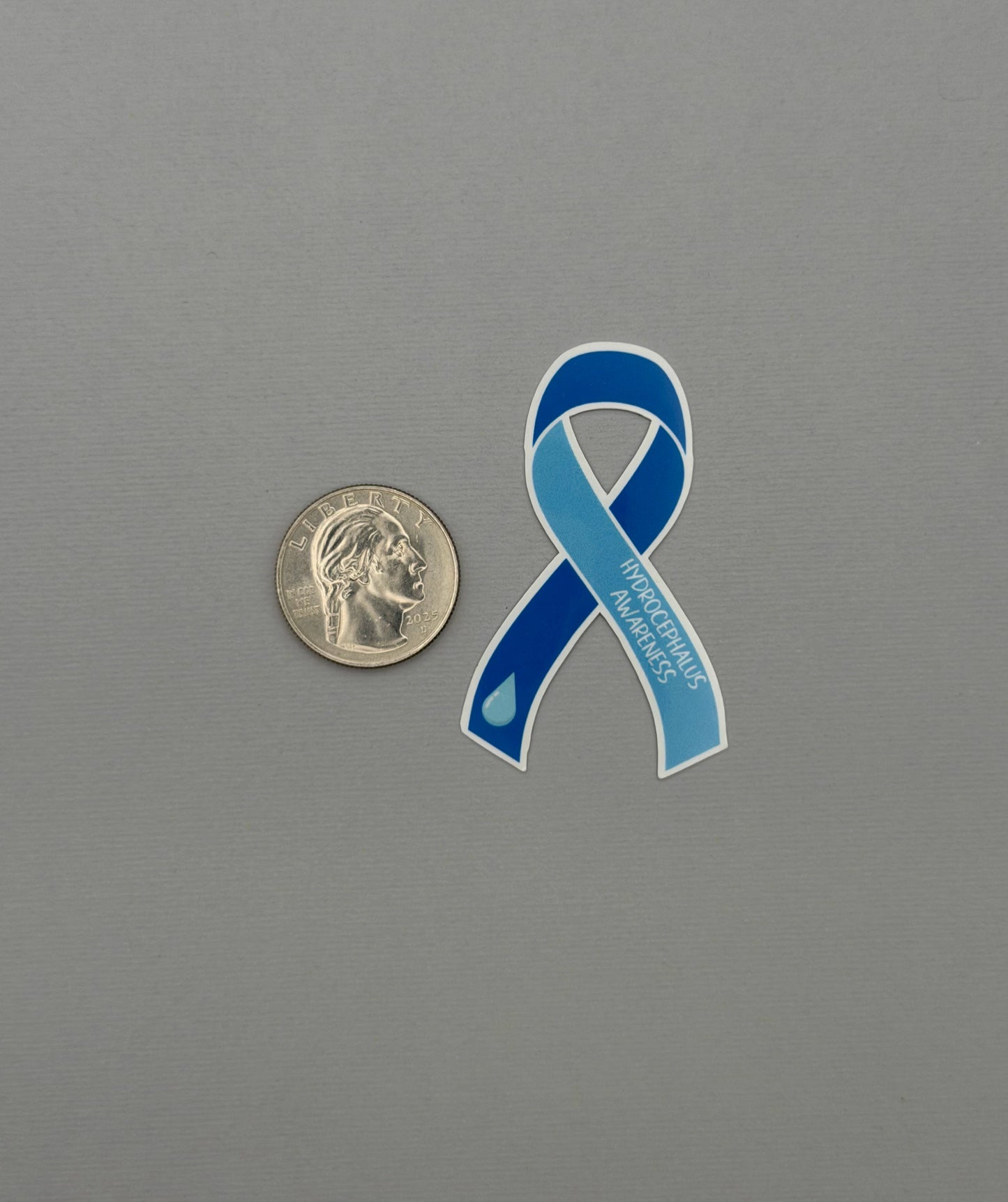Hydrocephalus Awareness Ribbon Sticker or Magnet