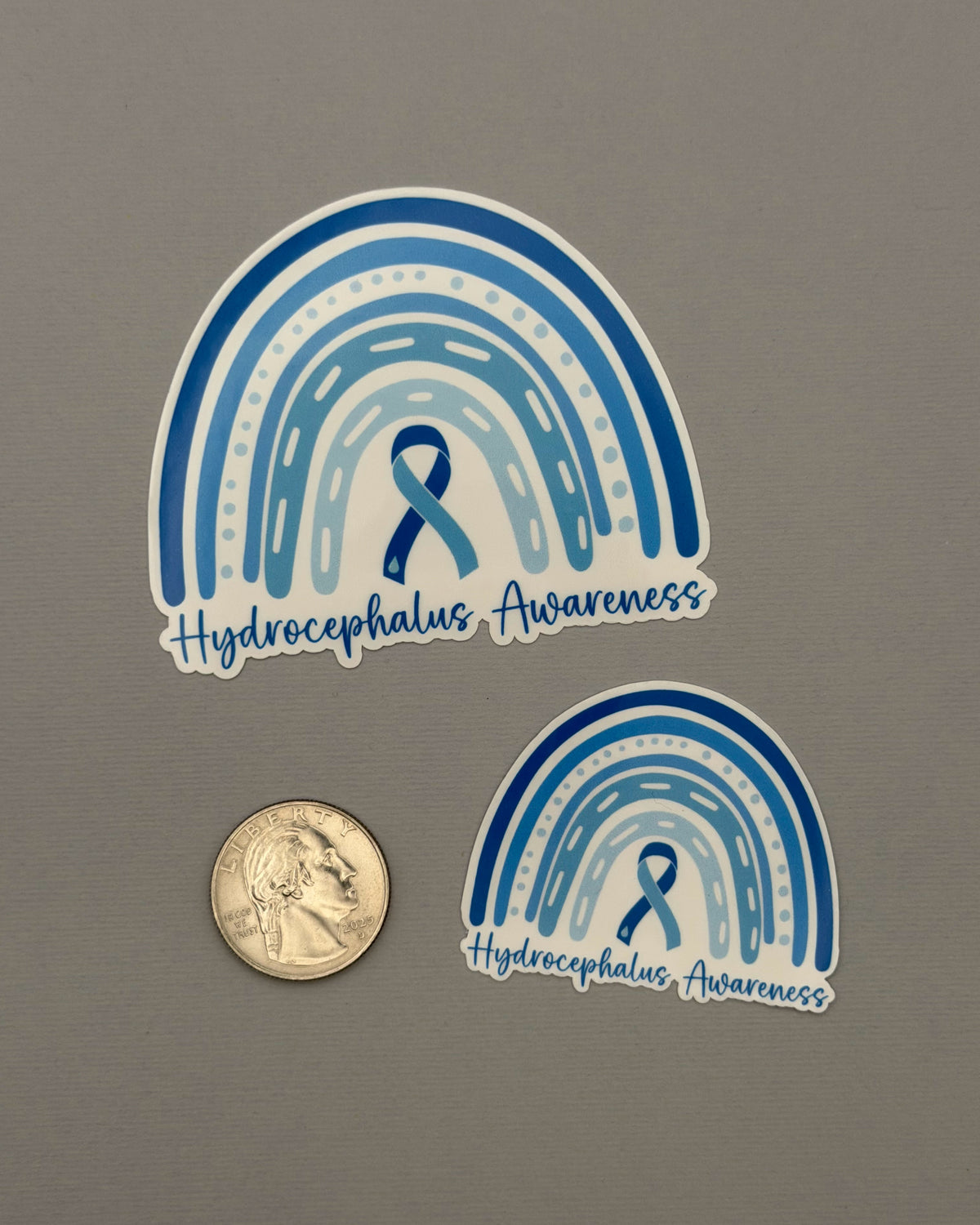 Hydrocephalus Awareness Rainbow Sticker or Magnet