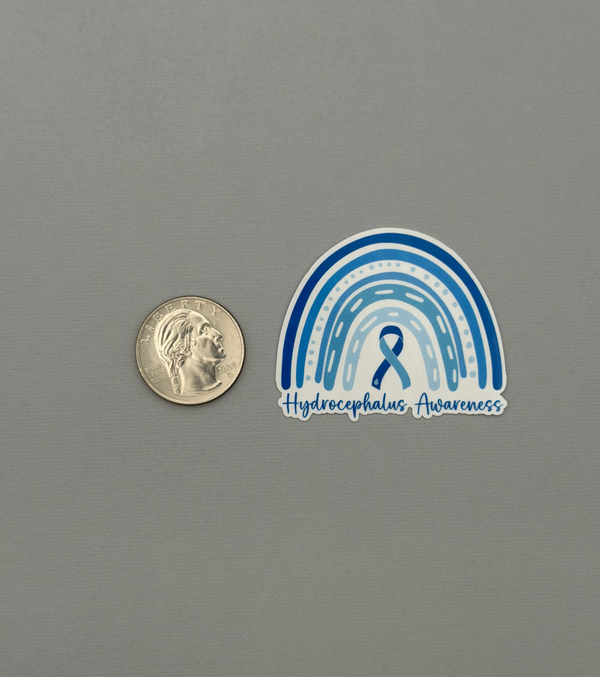 Hydrocephalus Awareness Rainbow Sticker or Magnet