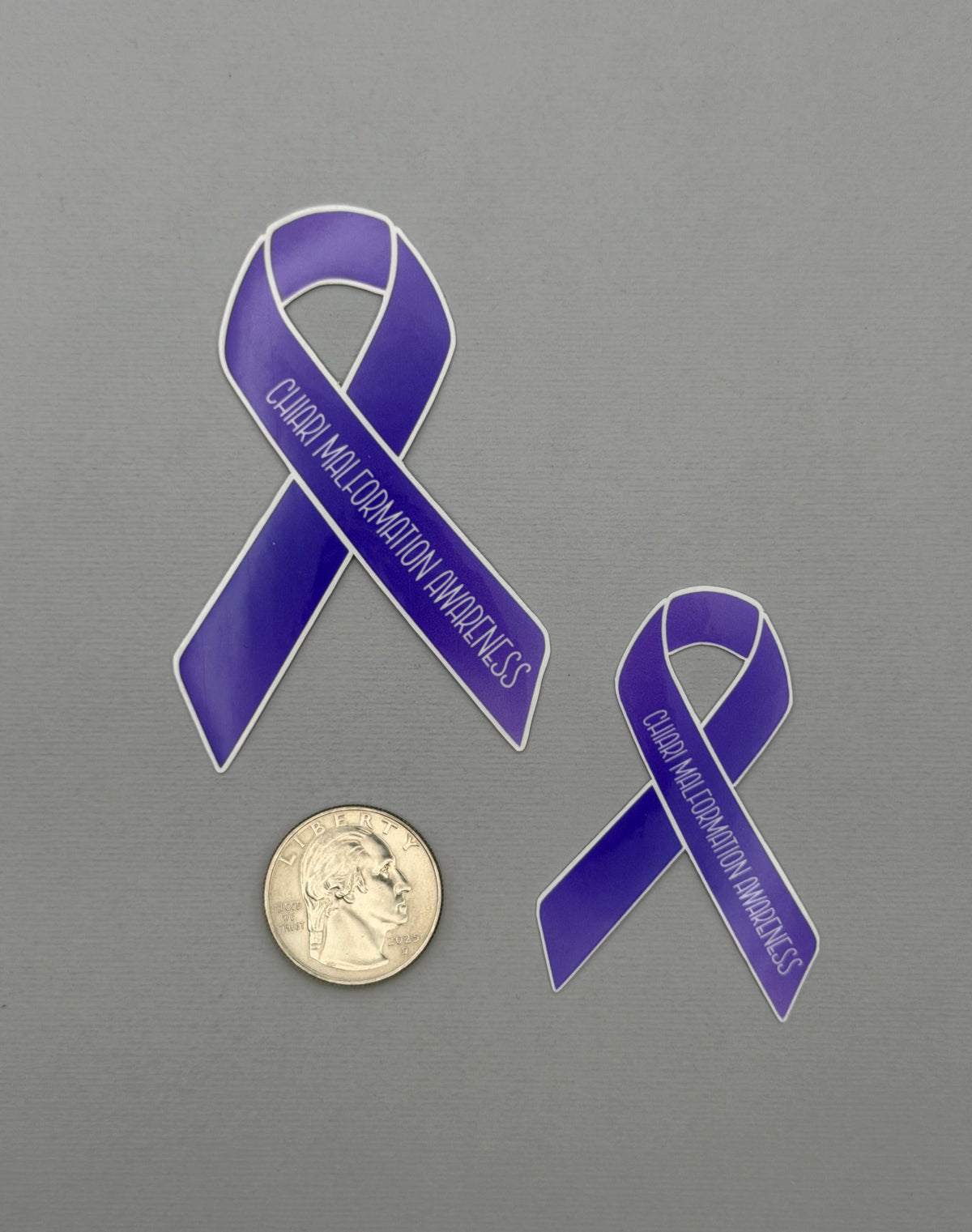 Chiari Malformation Awareness Ribbon Sticker or Magnet