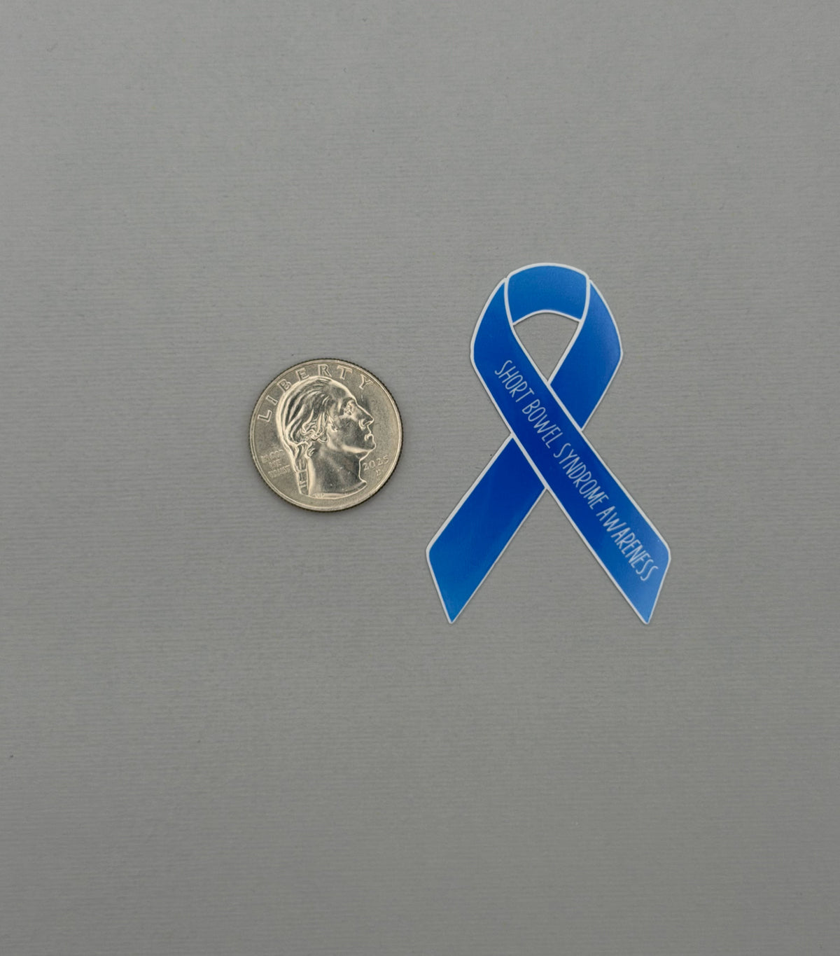 Short Bowel Syndrome Awareness Ribbon Sticker or Magnet | SBS