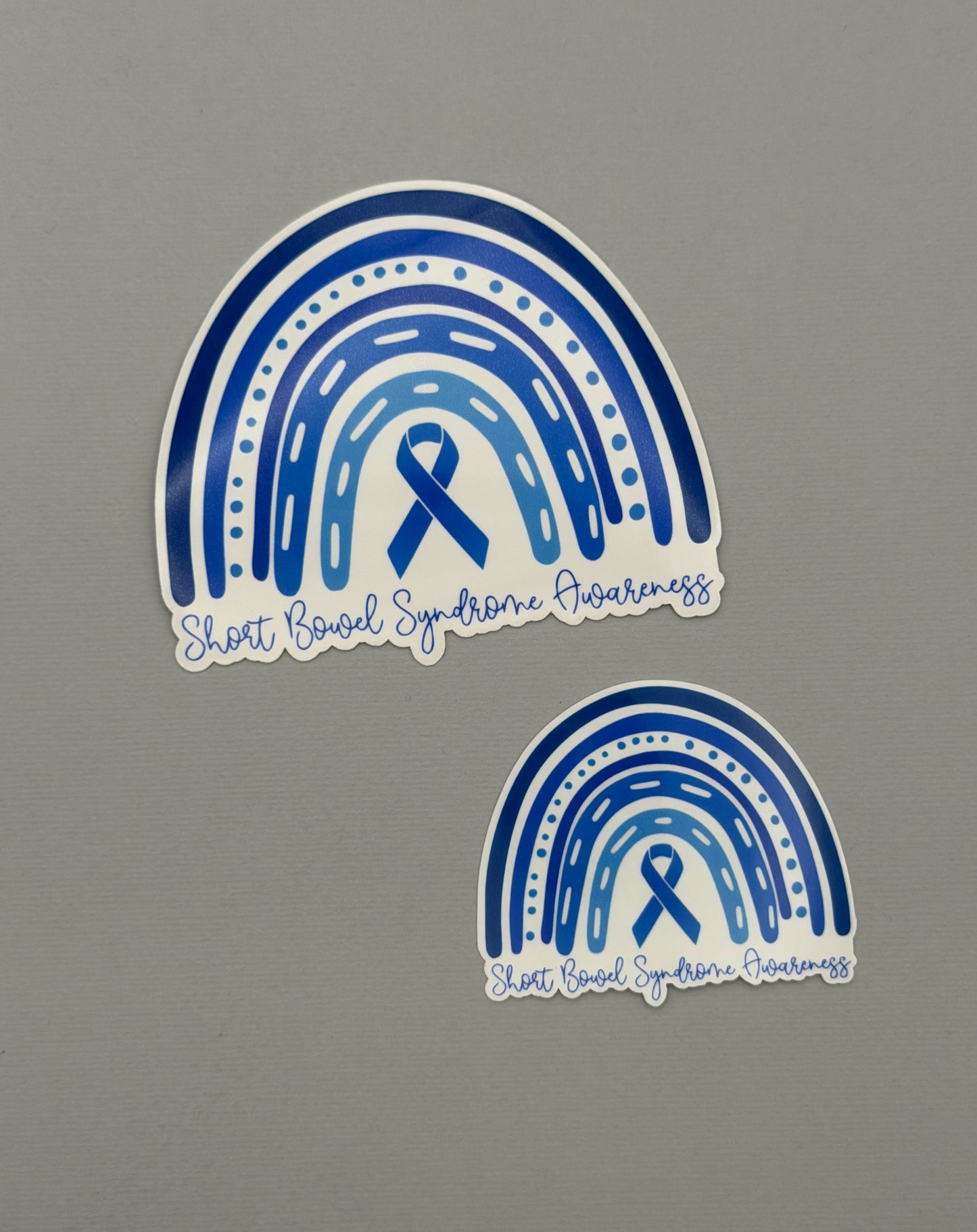 Short Bowel Syndrome Awareness Rainbow Sticker or Magnet