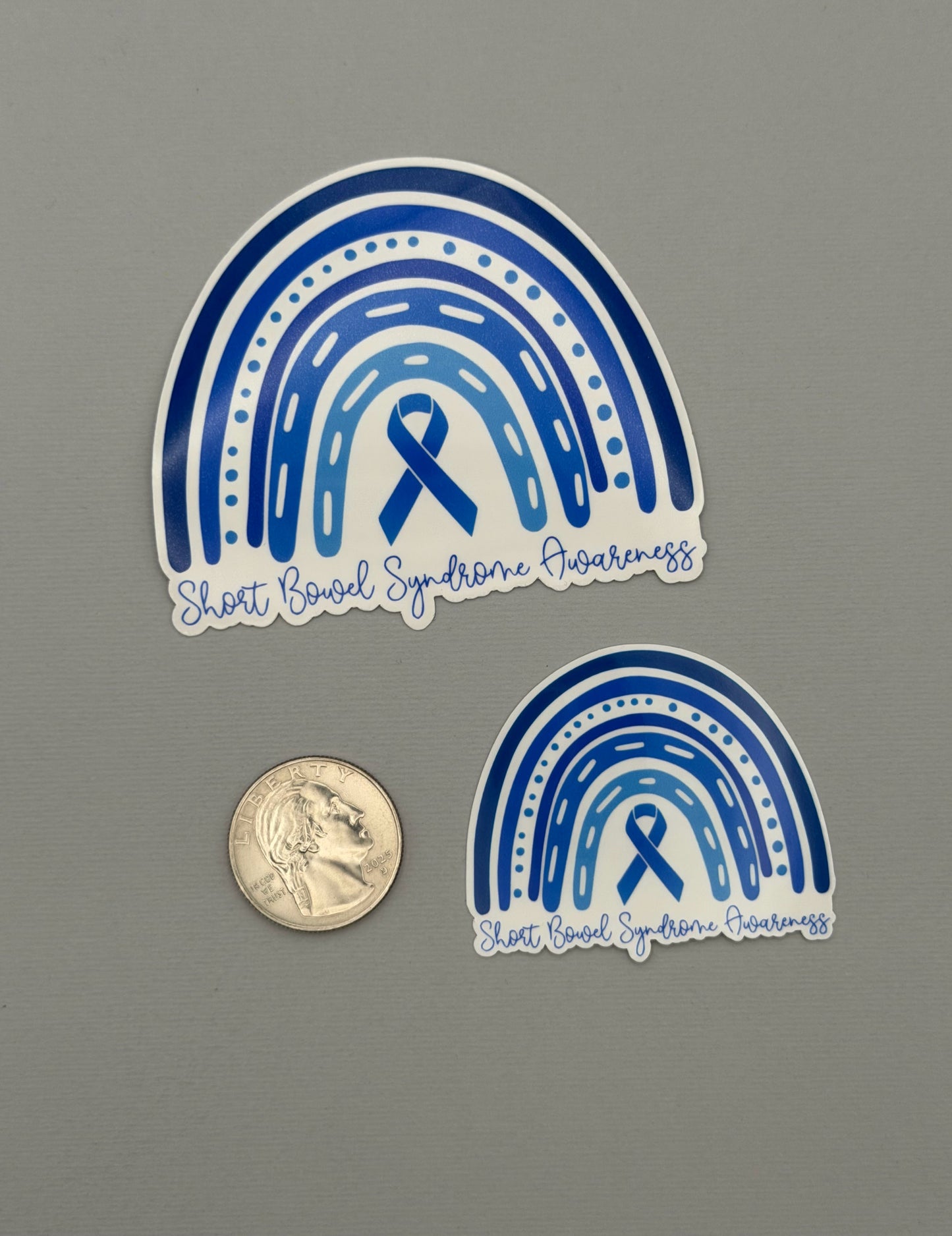Short Bowel Syndrome Awareness Rainbow Sticker or Magnet