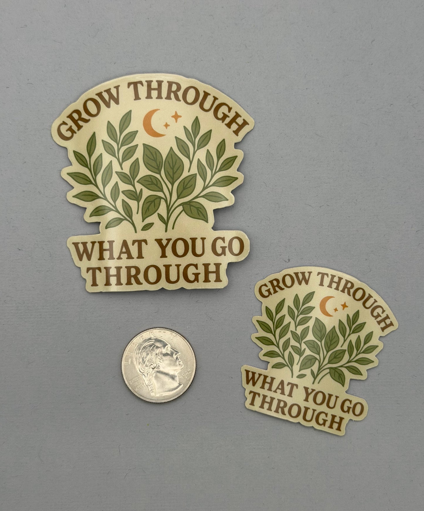 Grow Through What You Go Through Sticker