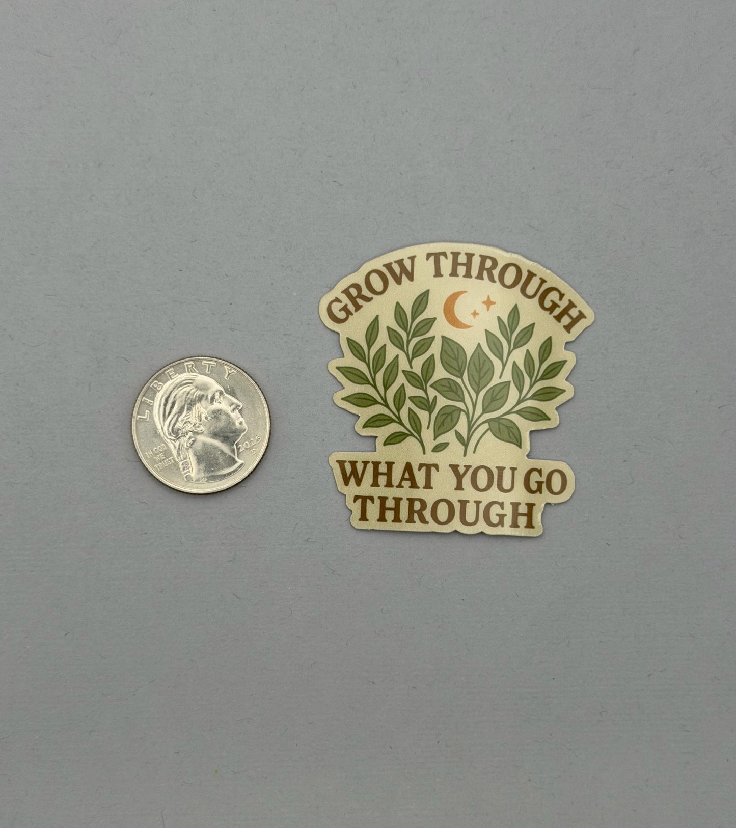 Grow Through What You Go Through Sticker