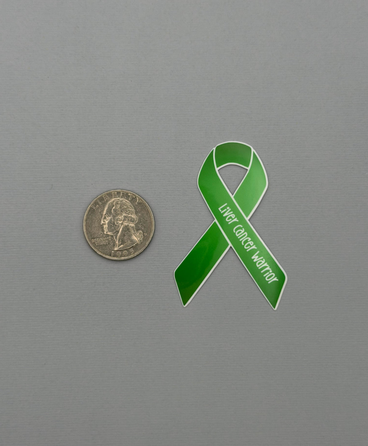 Liver Cancer Warrior Ribbon Sticker or Magnet
