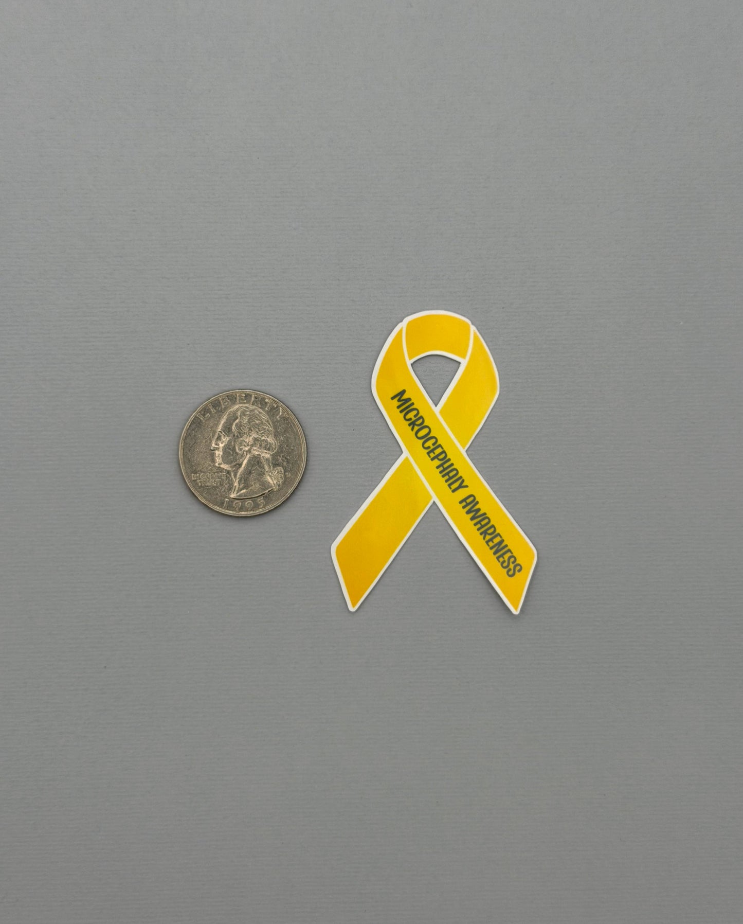 Microcephaly Awareness Ribbon Sticker or Magnet